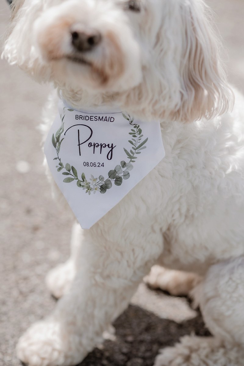 North Devon Natural Wedding Photographer_0029.jpg