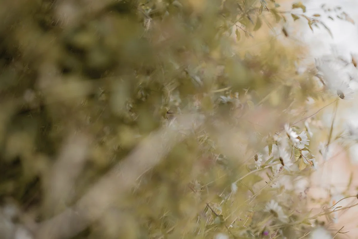 Wedding-Photographer-Devon-South-West-England_0060.jpg