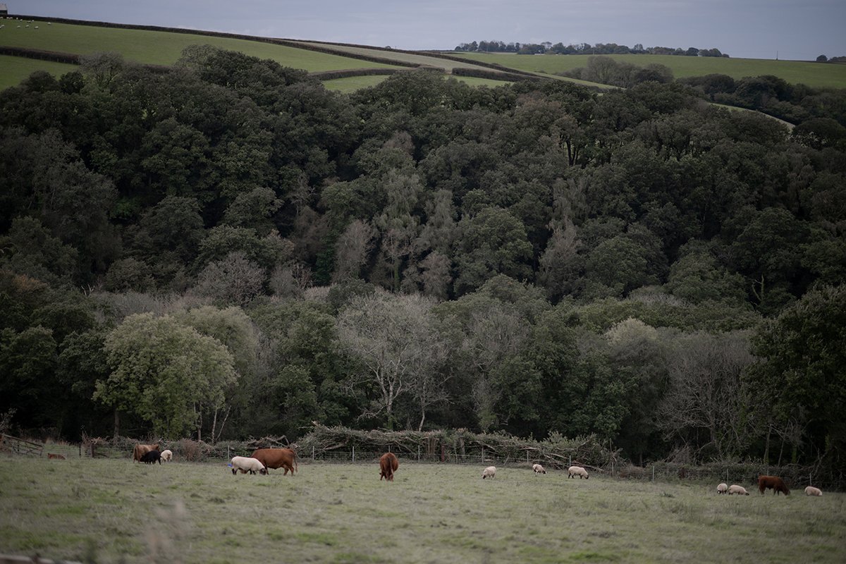 North Devon Wedding Photographer South West England Elopement_0098.jpg
