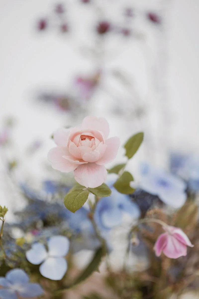 Natural Wedding Photographer Devon Dartmoor _0181.jpg