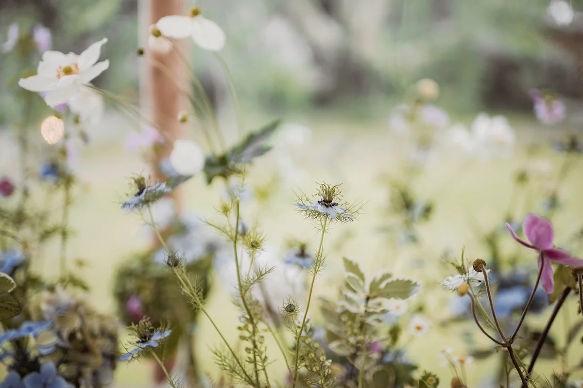 Natural Wedding Photographer Devon Dartmoor _0194.jpg