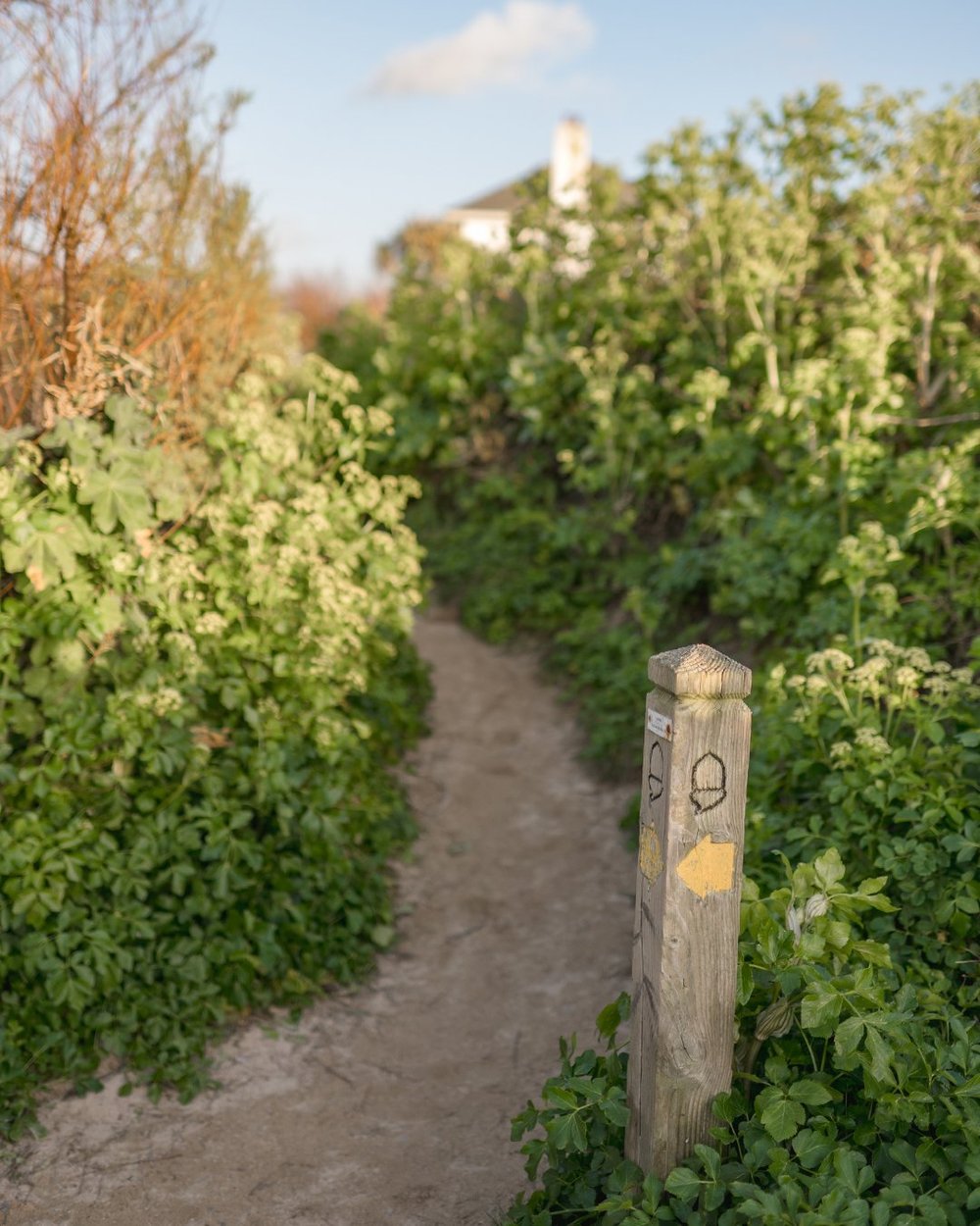 Cornwall Coastal Path.jpg