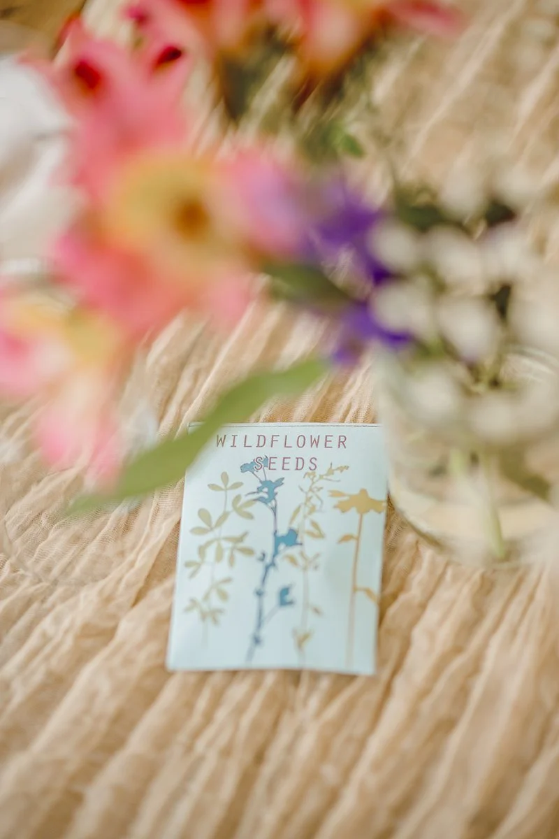Nort Devon Wedding Photographer South West_0048.jpg