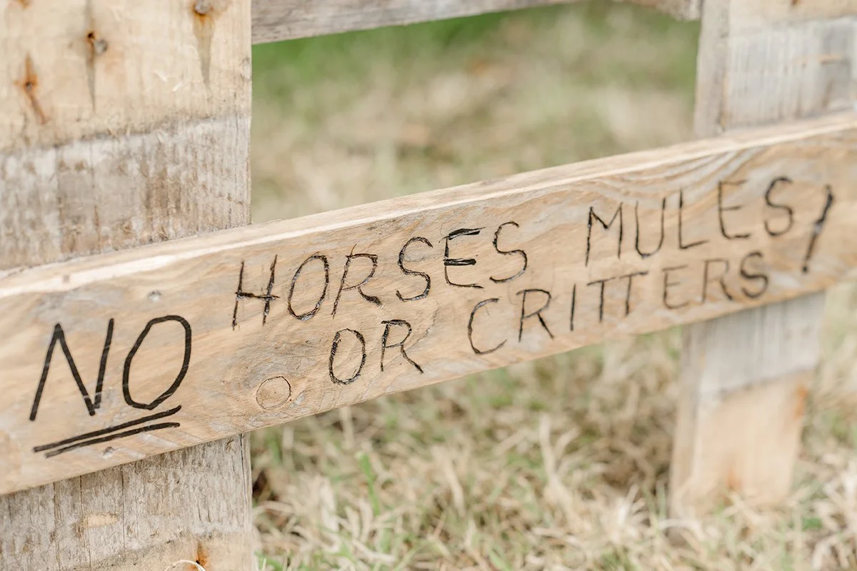 Nort Devon Wedding Photographer South West_0067.jpg