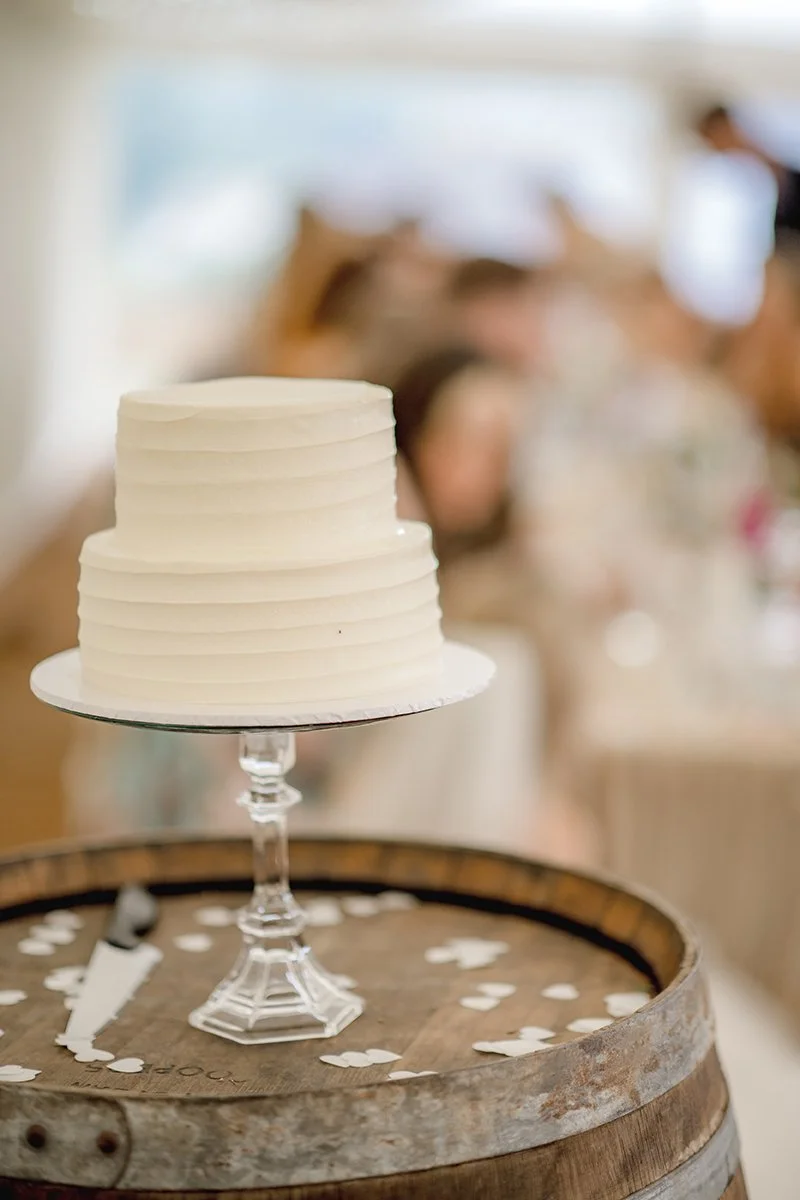 Nort Devon Wedding Photographer South West_0099.jpg