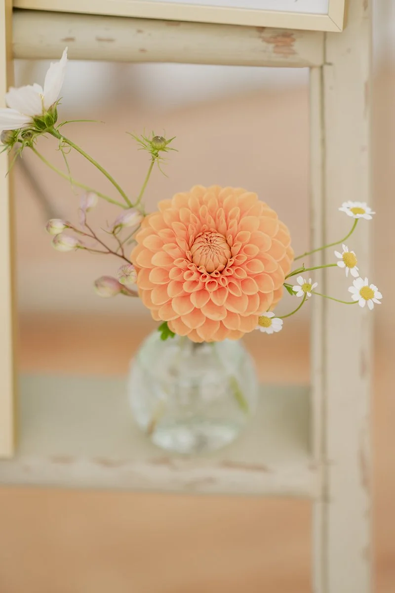 Devon Dartmoor plymouth Natural Wedding Photographer_0158.jpg