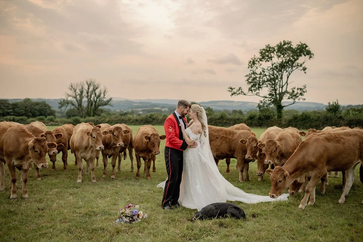 Devon Dartmoor plymouth Natural Wedding Photographer_0180.jpg