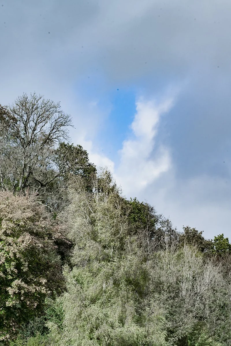 The Bickley Mill Inn_0031.jpg