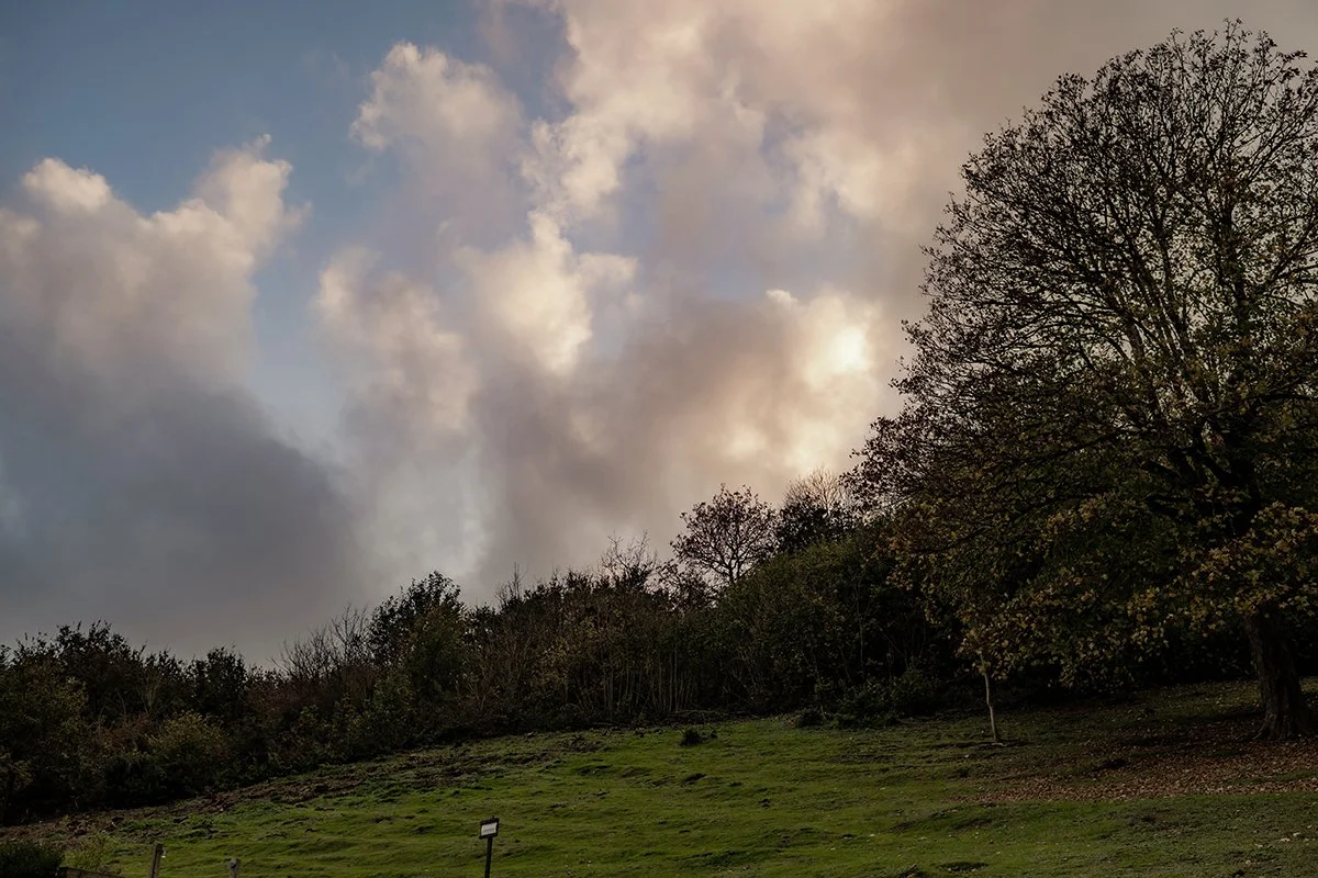 The Bickley Mill Inn_0052.jpg