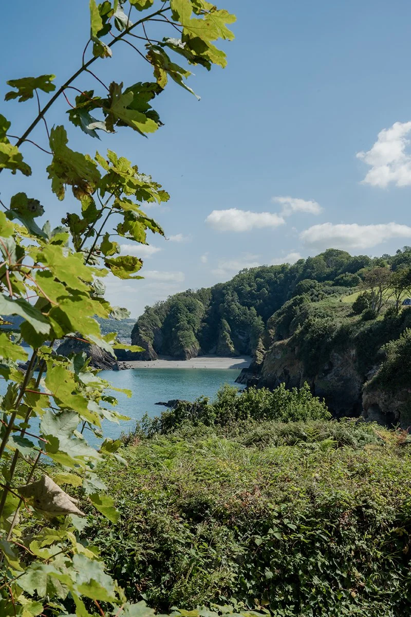 Watermouth Cove wedding Natural  female Wedding Photographer_0010.jpg