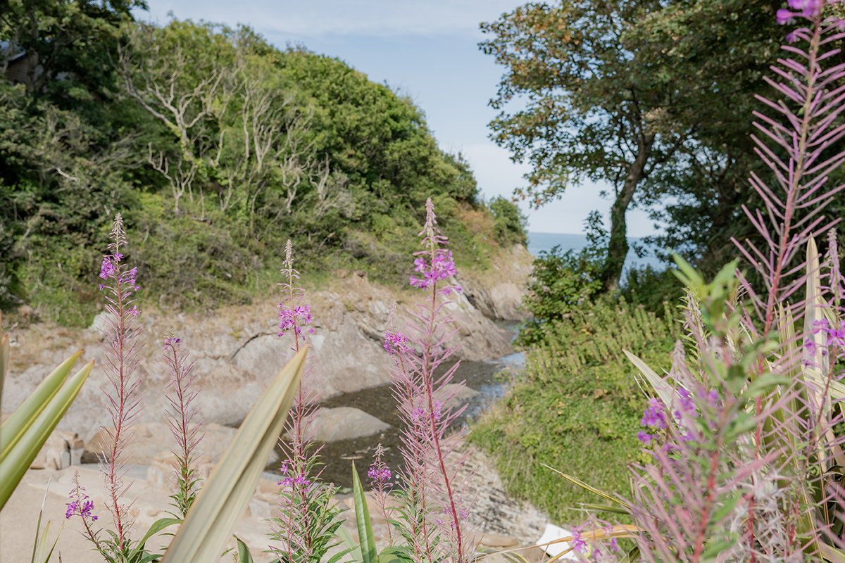 Watermouth Cove wedding Natural  female Wedding Photographer_0063.jpg