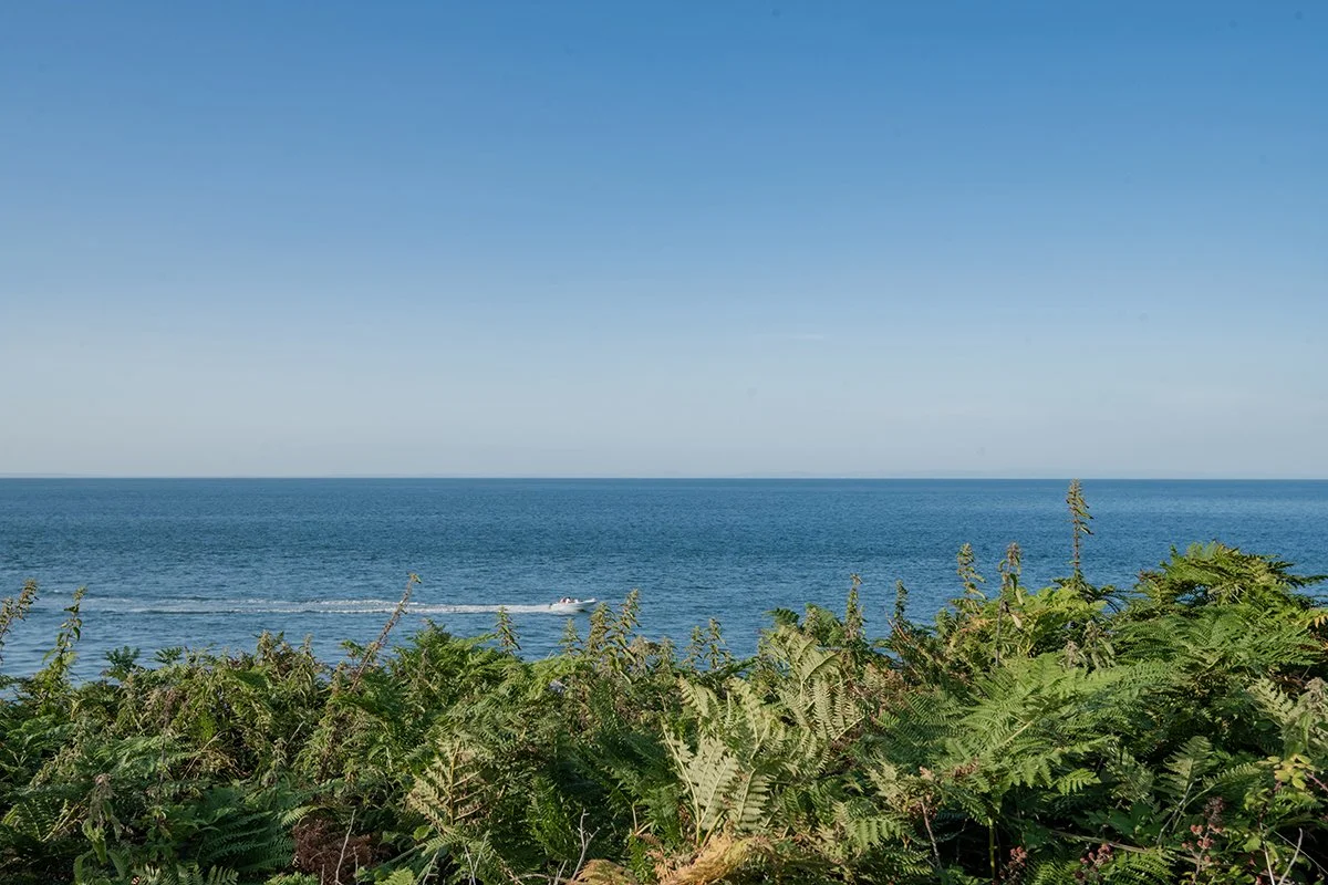 Watermouth Cove wedding Natural  female Wedding Photographer_0078.jpg