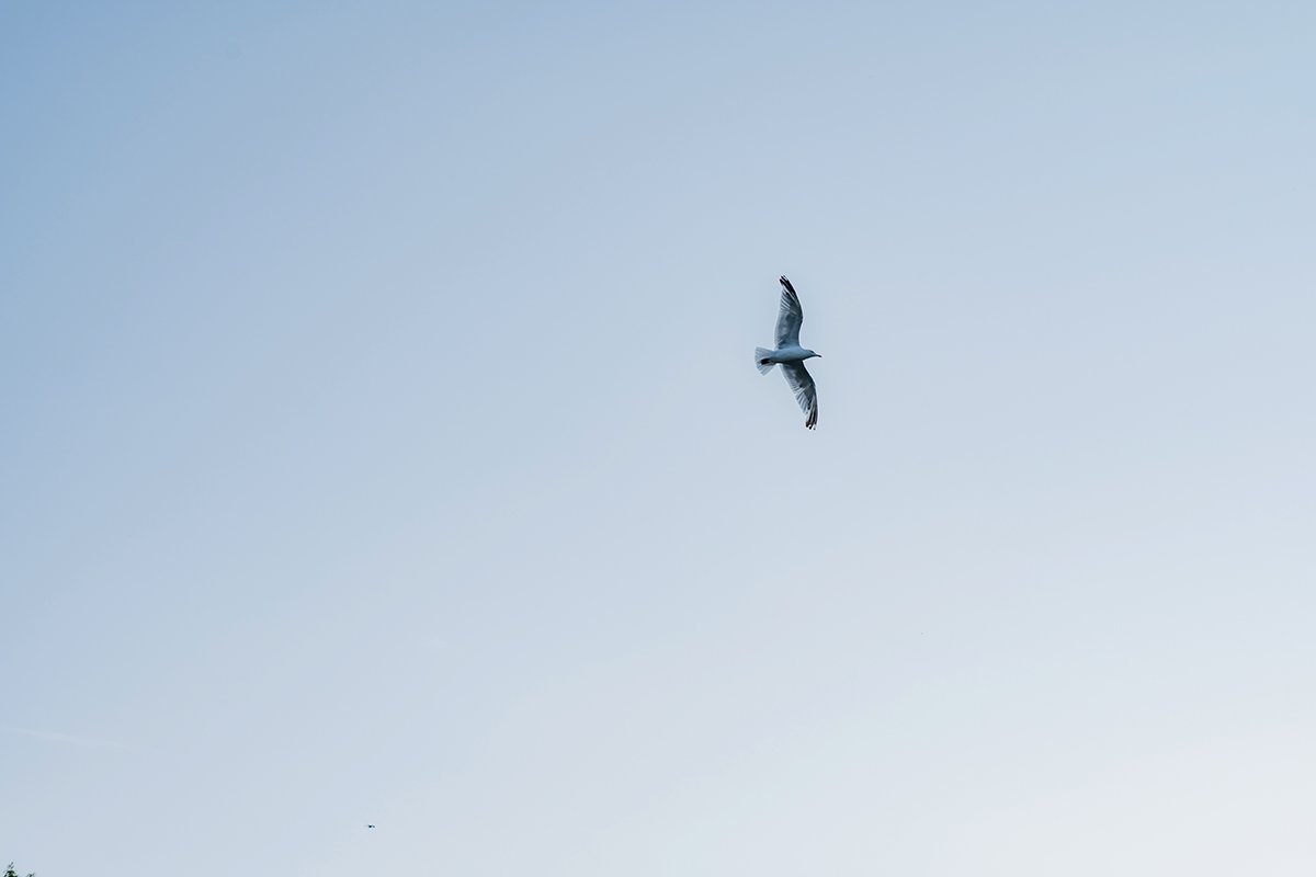 Watermouth Cove wedding Natural  female Wedding Photographer_0094.jpg