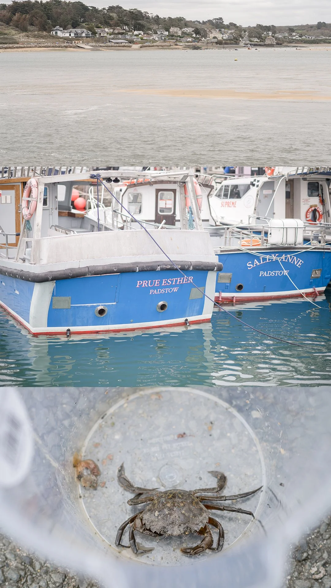 Natural Female wedding photograoher Devon Tiverton Barnstable exmoor_0001.jpg