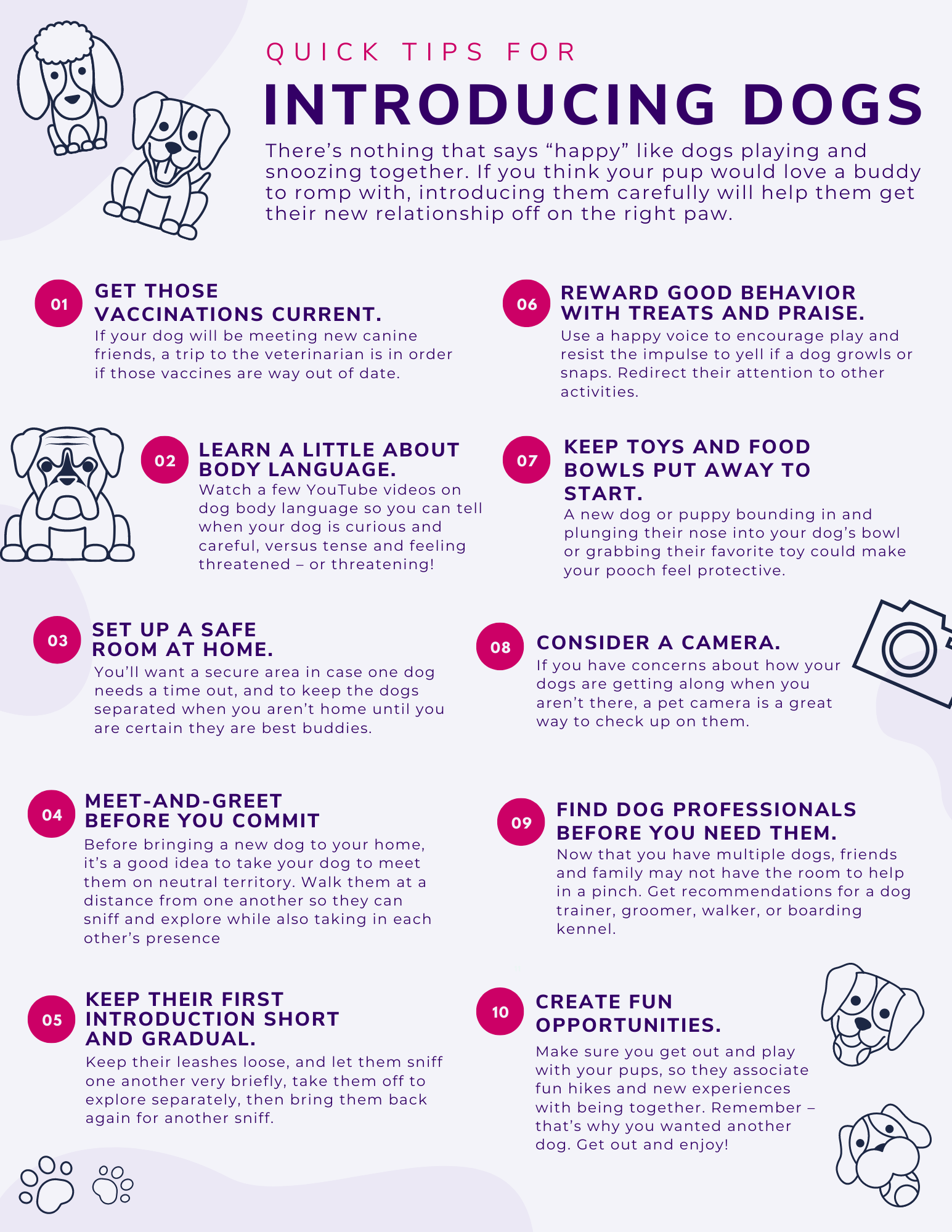 Introducing Dogs Quick Tips for Introducing Dogs — Marina District Pet Care
