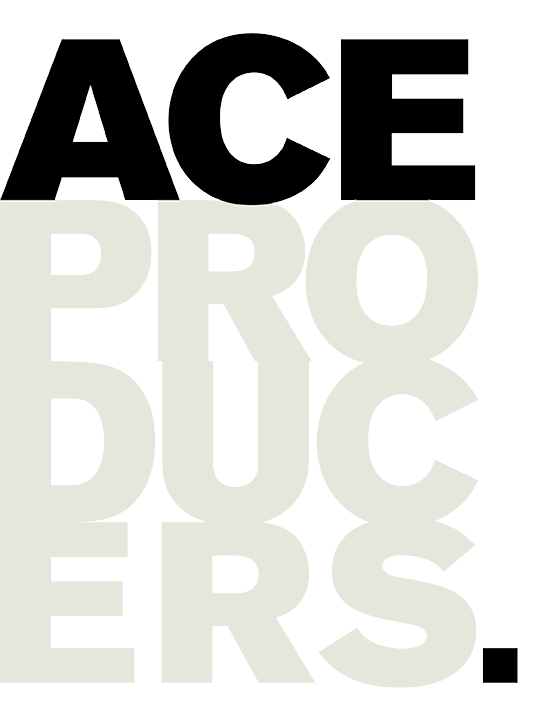Lettering spelling 'ACE PRO BUILDERS' with 'ACE' in black at the top, 'PRO' in light gray in the middle, and 'BUILDERS' in larger light gray font at the bottom.