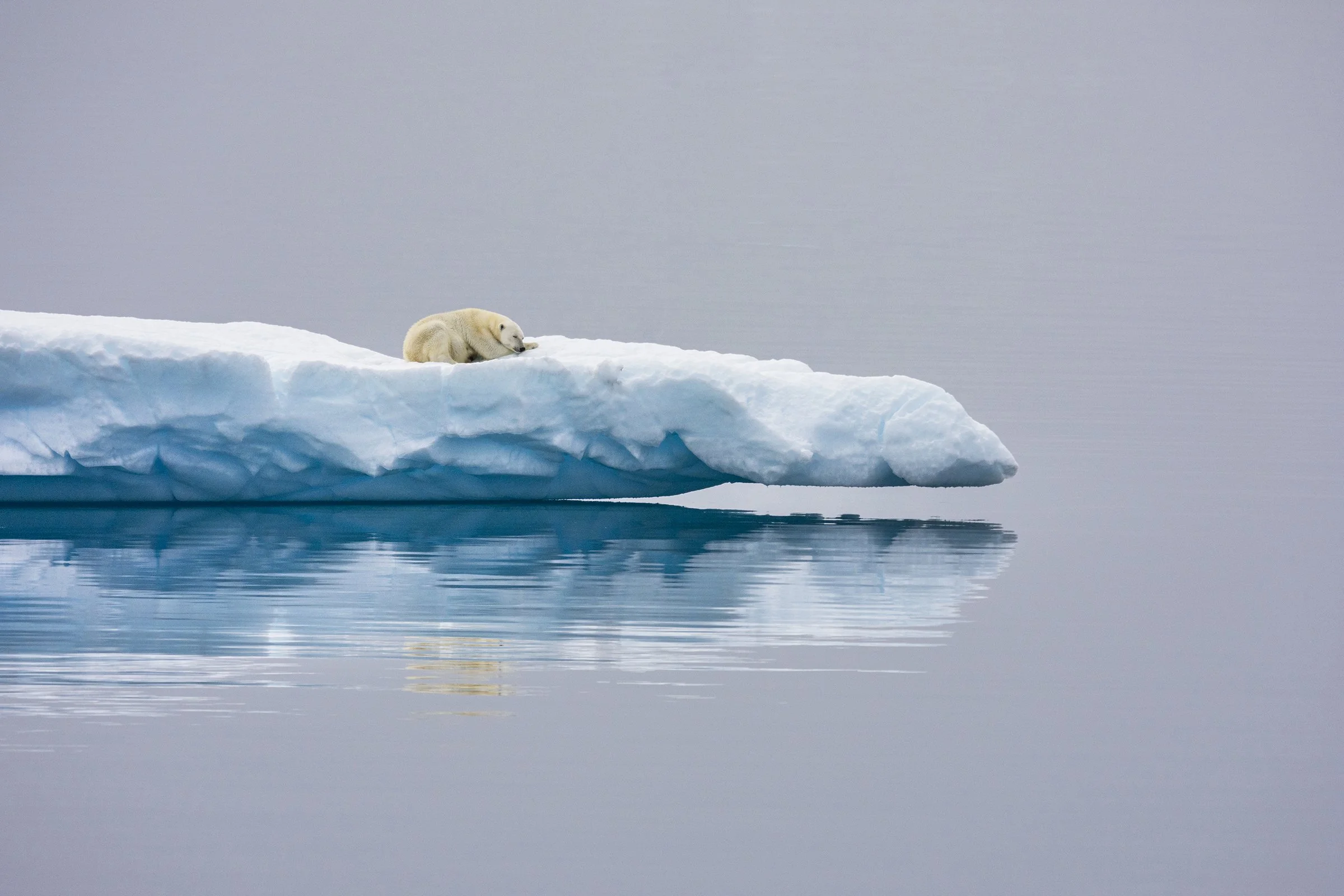 Jordan_Banks_Nat_Geo_Photo_Comp_2024_Wildlife.jpg