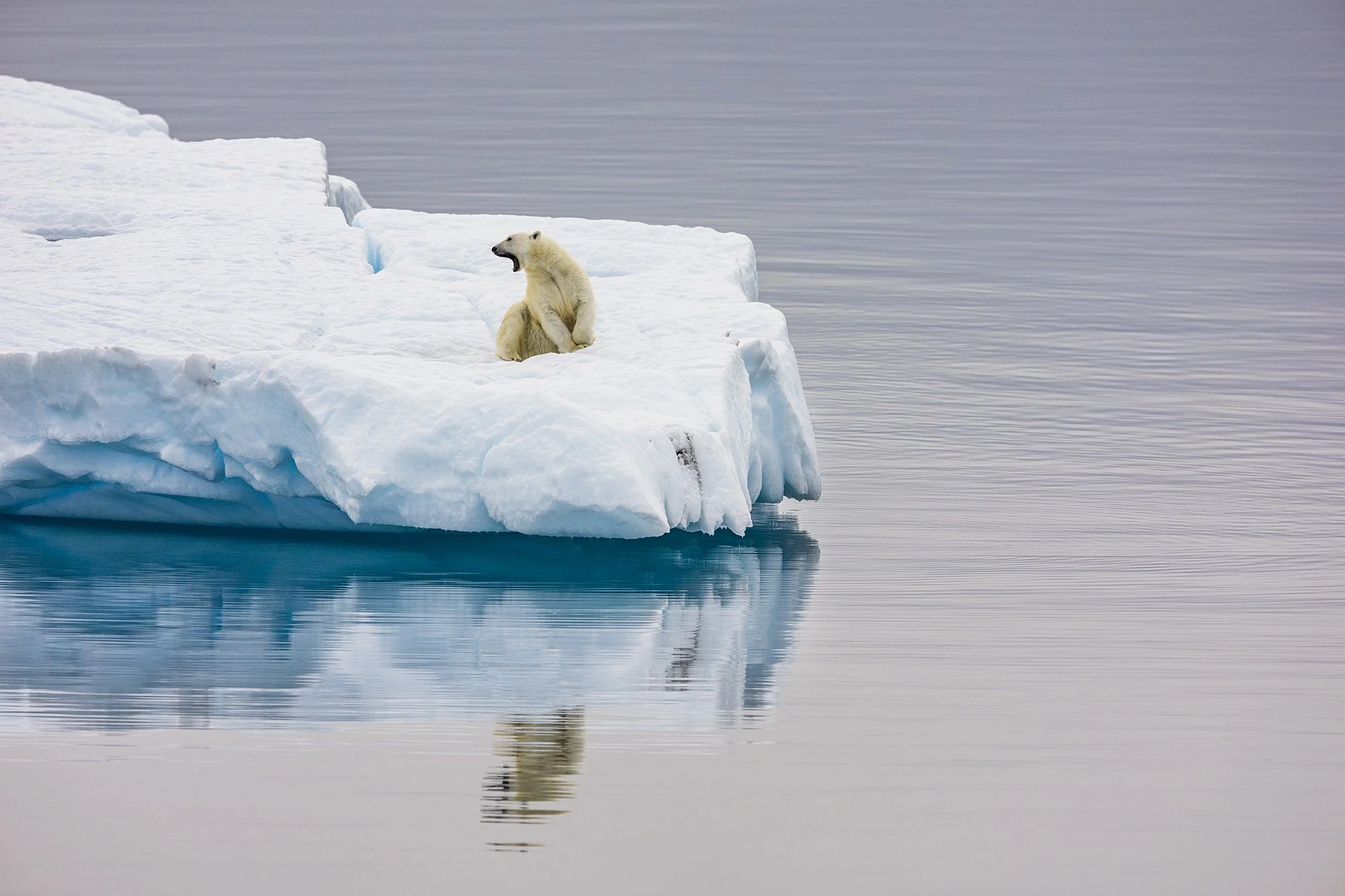 Greenland_and_Baffin_Jordan_Banks_0001-161.jpg