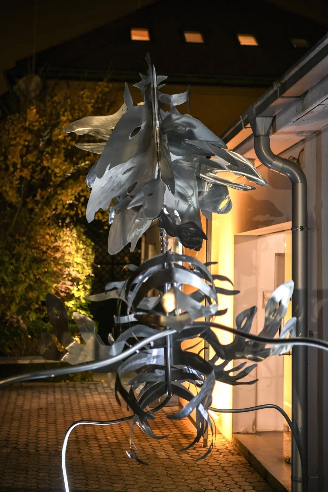 Legion Noa Geras (2).jpg