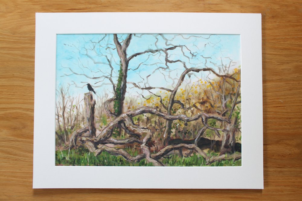 storm-swepped trees_mounted01 small.jpg