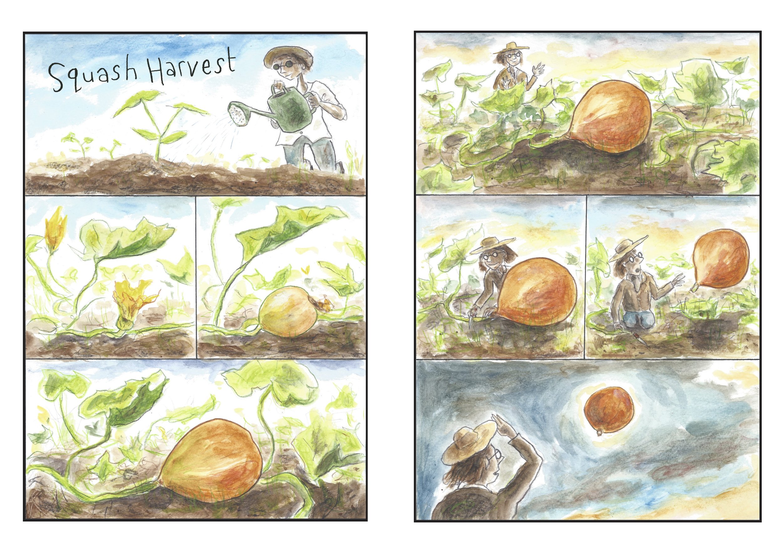 SquashHarvest01.jpg