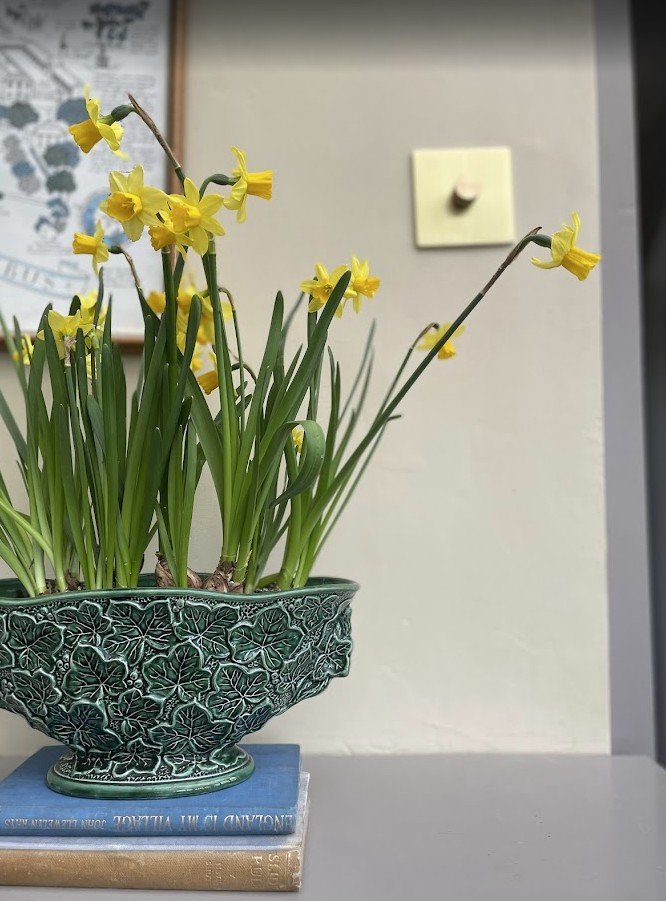 How to invite Spring in