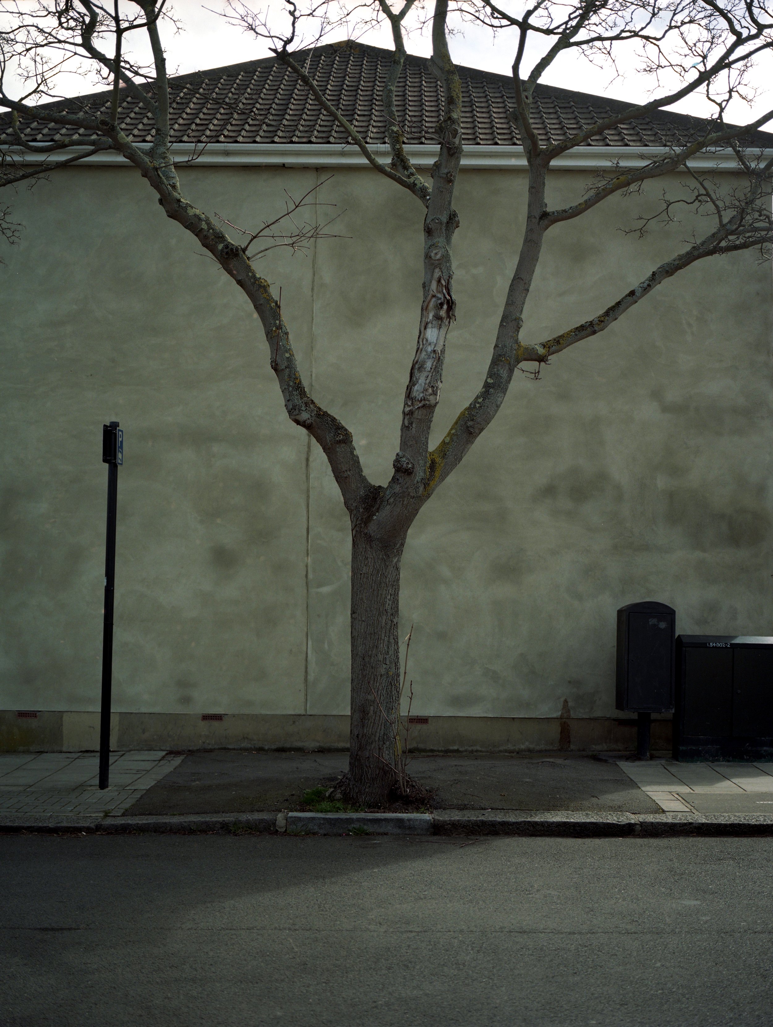 img017 edit.jpg