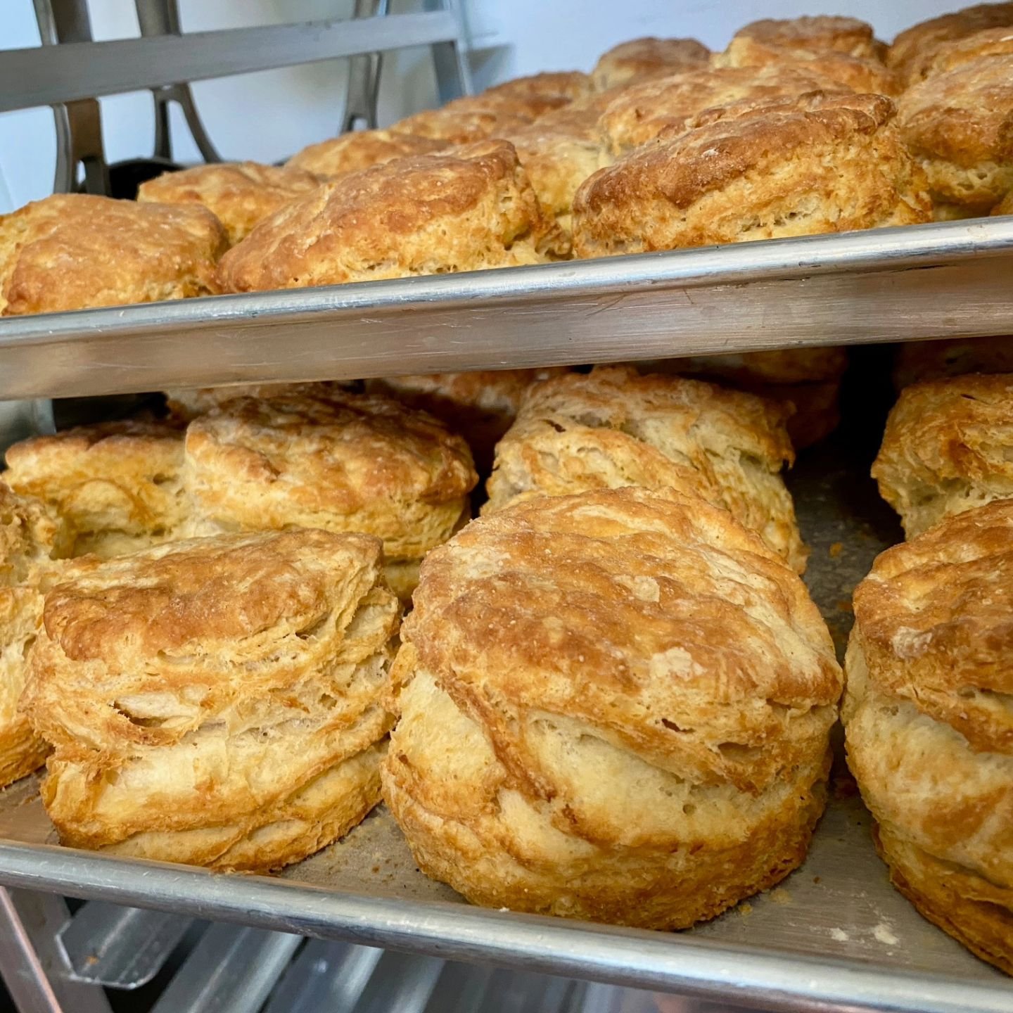 It&rsquo;s a perfect day for fresh biscuits and chocolate chip banana bread!