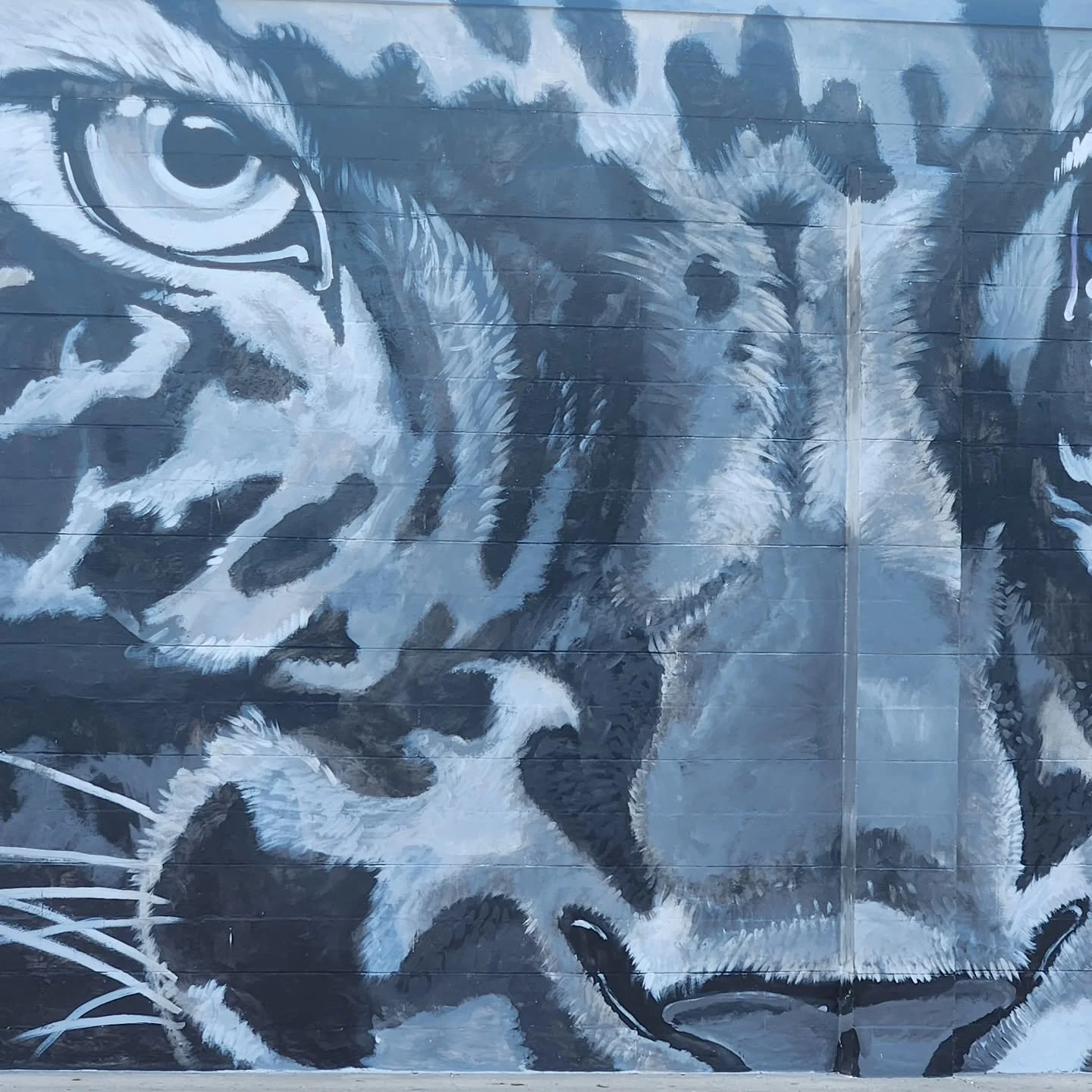 Check out the progress on EGAD new mural!!