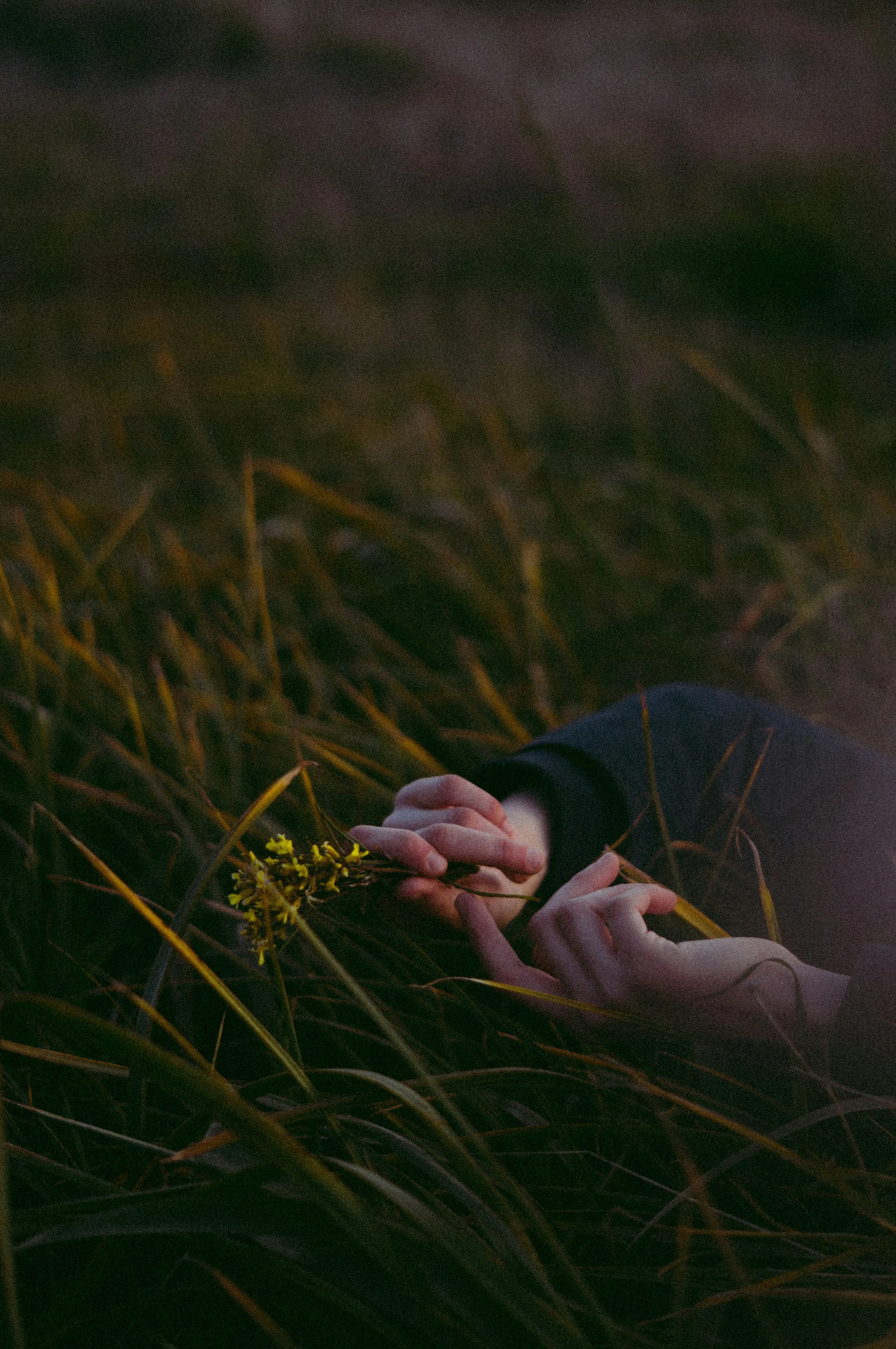 Agrita Dandriyal on reclaiming the liberatory power of the erotic