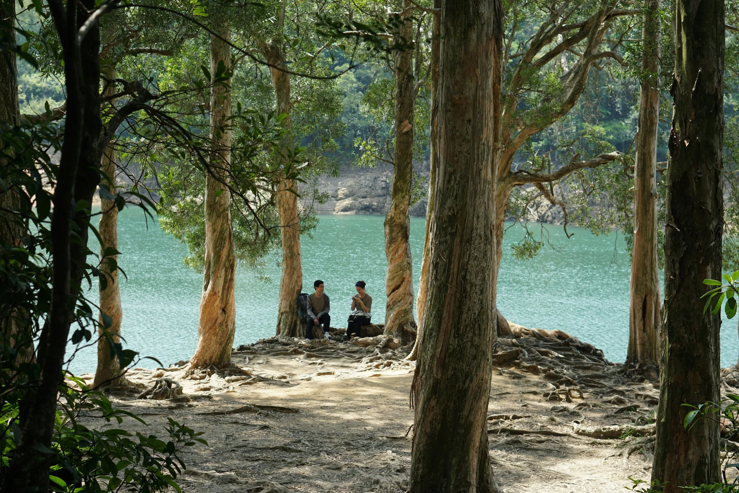 #95 Julie Brams on re-earthing psychotherapy practice for collective healing