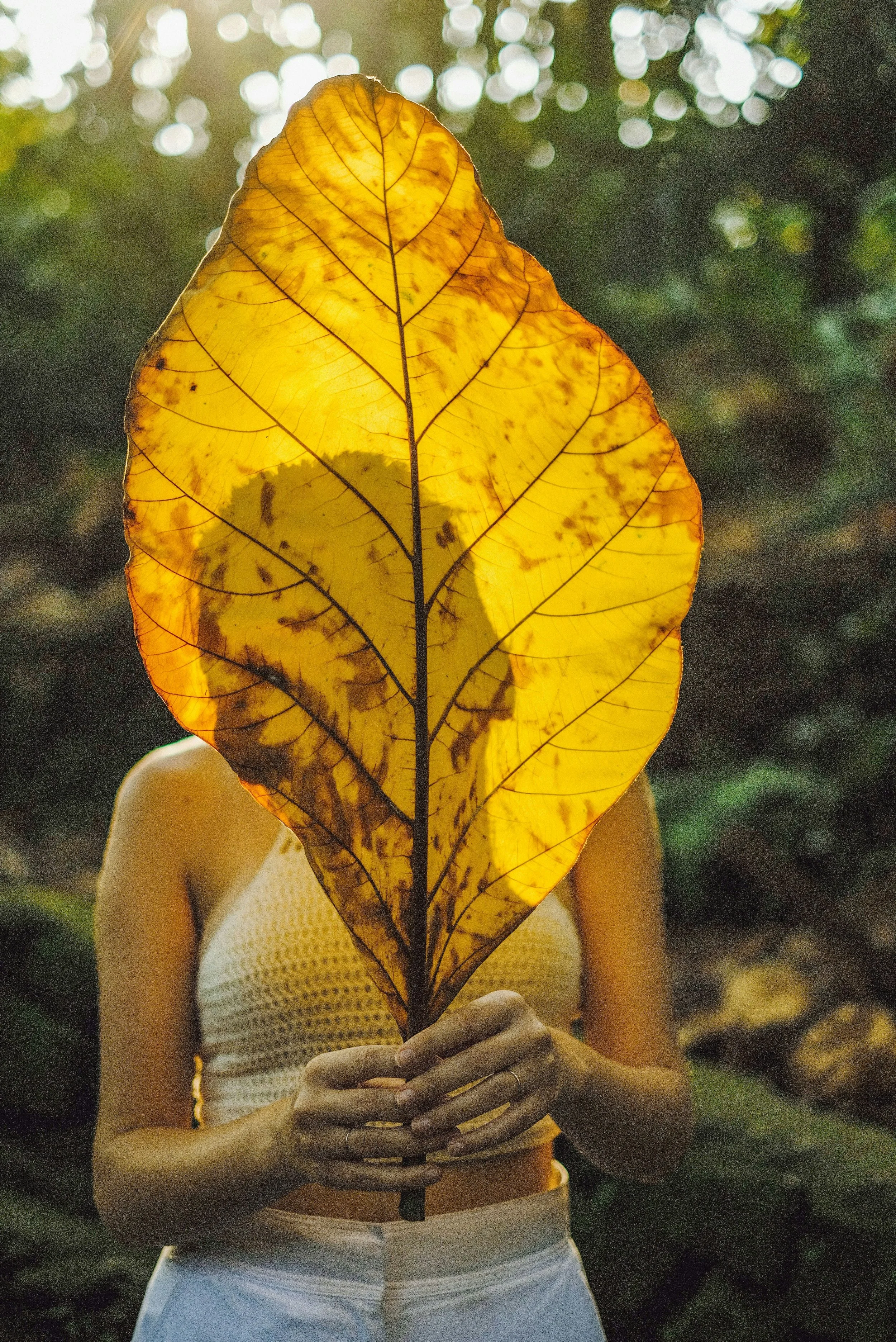 #102 Elaine Martini on reclamation of the ego&nbsp;