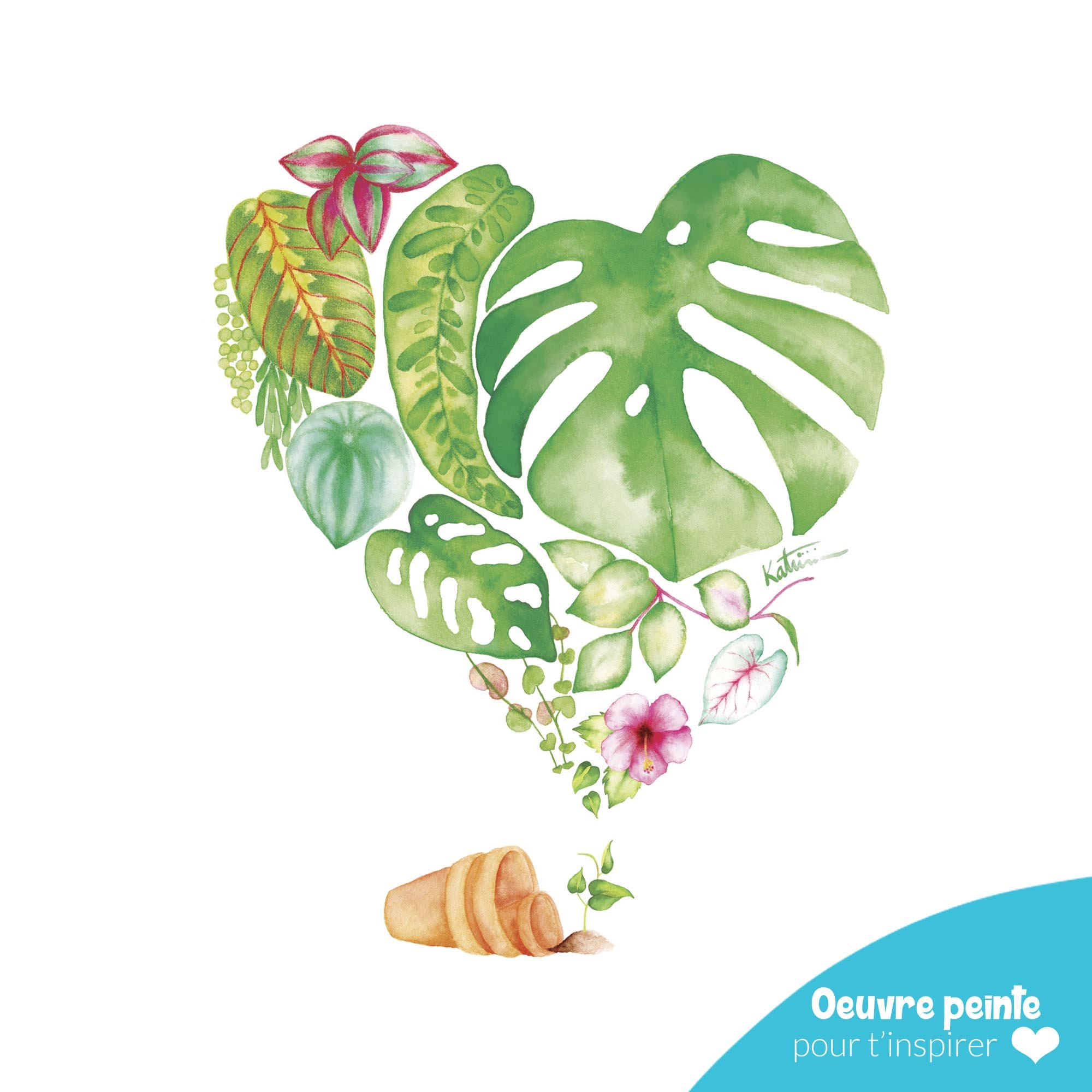 Monstera.jpg