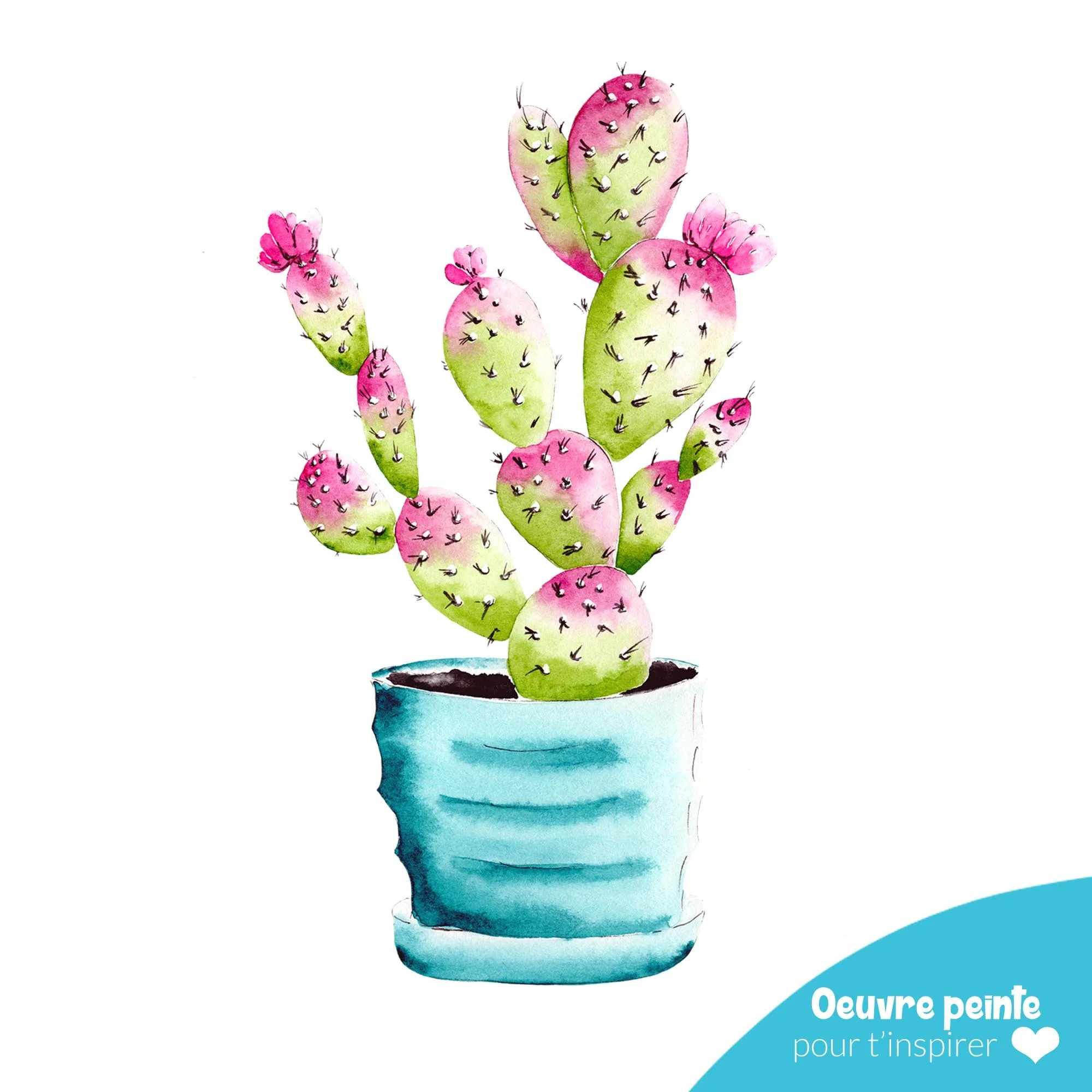 Cactus.jpg