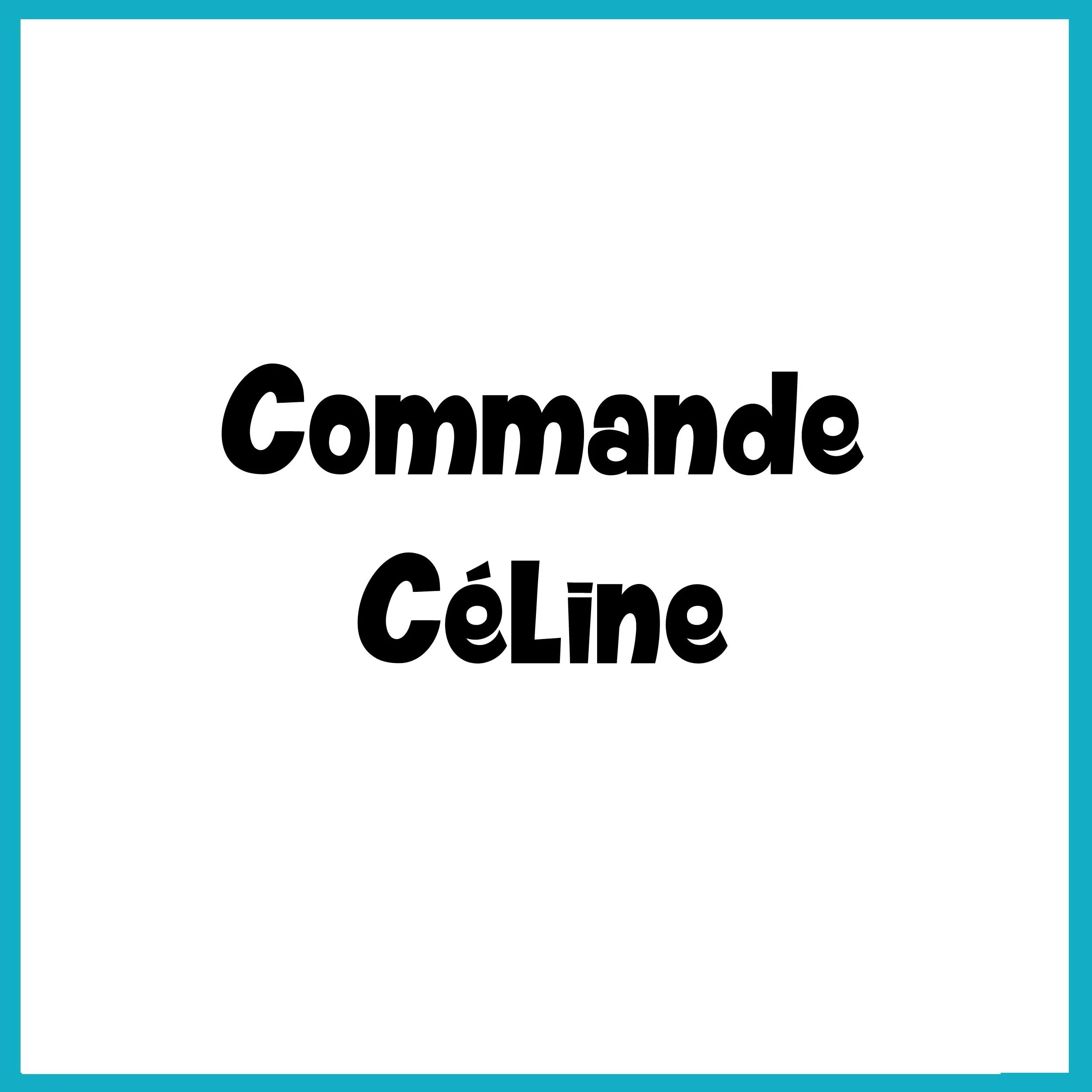 Commande Celine.jpg
