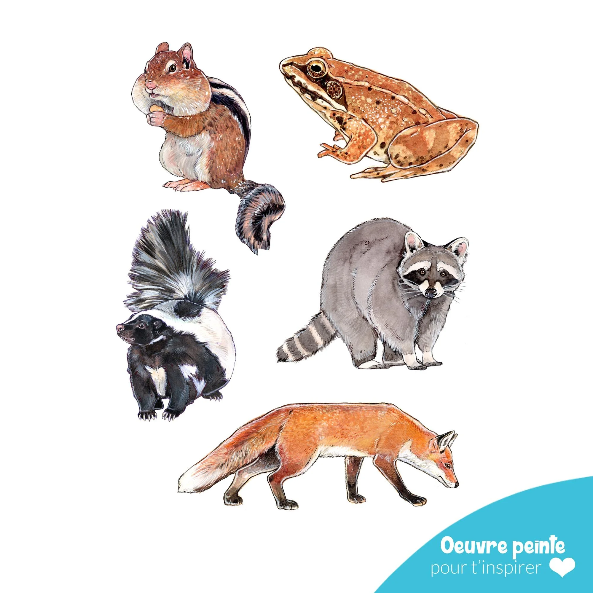 Aquarelle_animaux_foret_à_peindre.jpg