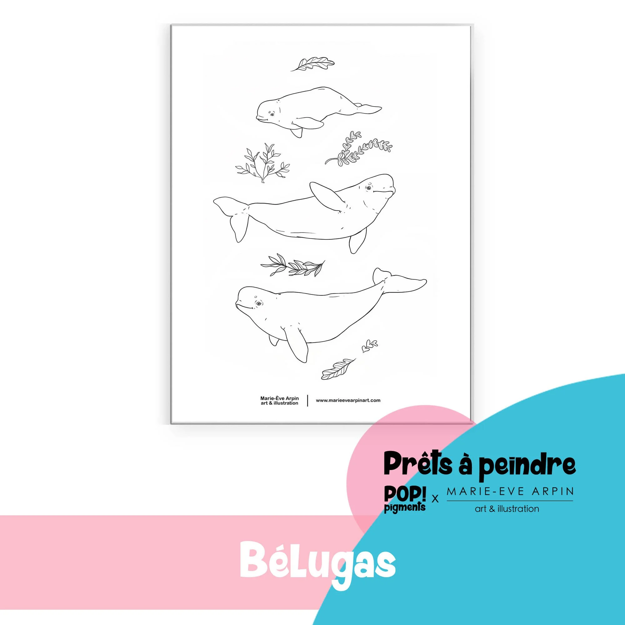 Belugas_Aquarelle_Croquis_Illustration_Prête_a_Peindre_MEA_PopPigments_Titres.jpg