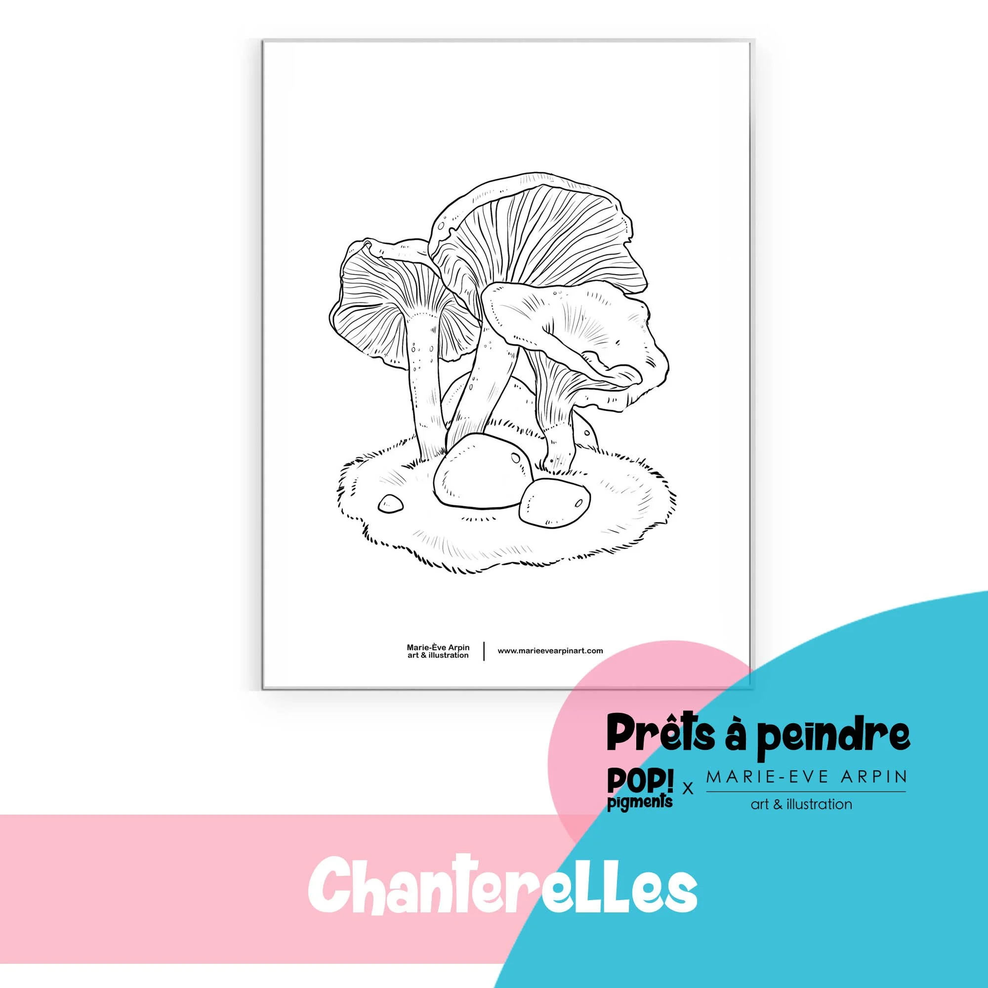 champis_chanterelles_Aquarelle_Croquis_Illustration_Prête_a_Peindre_MEA_PopPigments.jpg