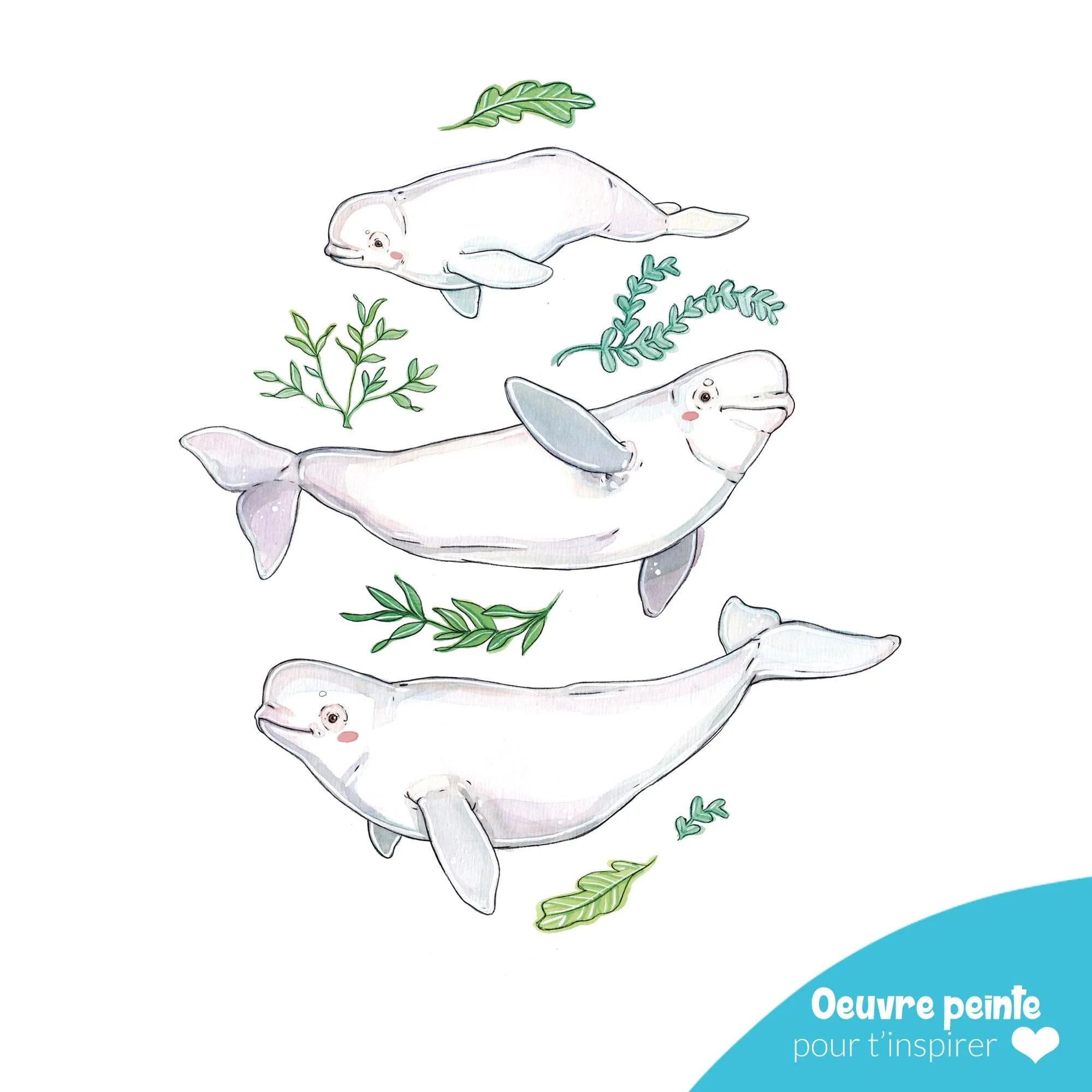 Aquarelle_beluga_à_peindre.jpg