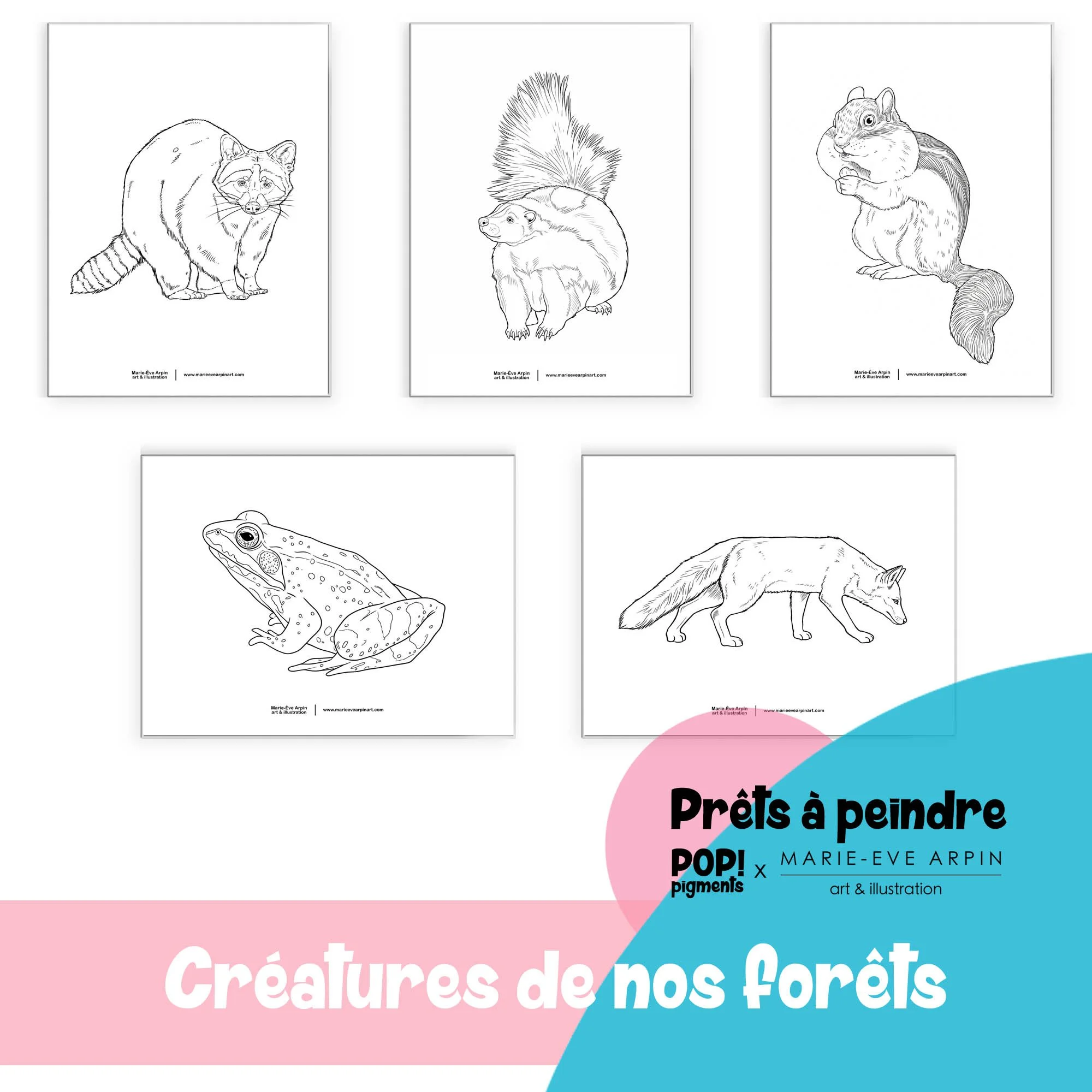 Croquis aquarelle prêt à peindre - Créatures de nos forêts par Marie-Ève Arpin