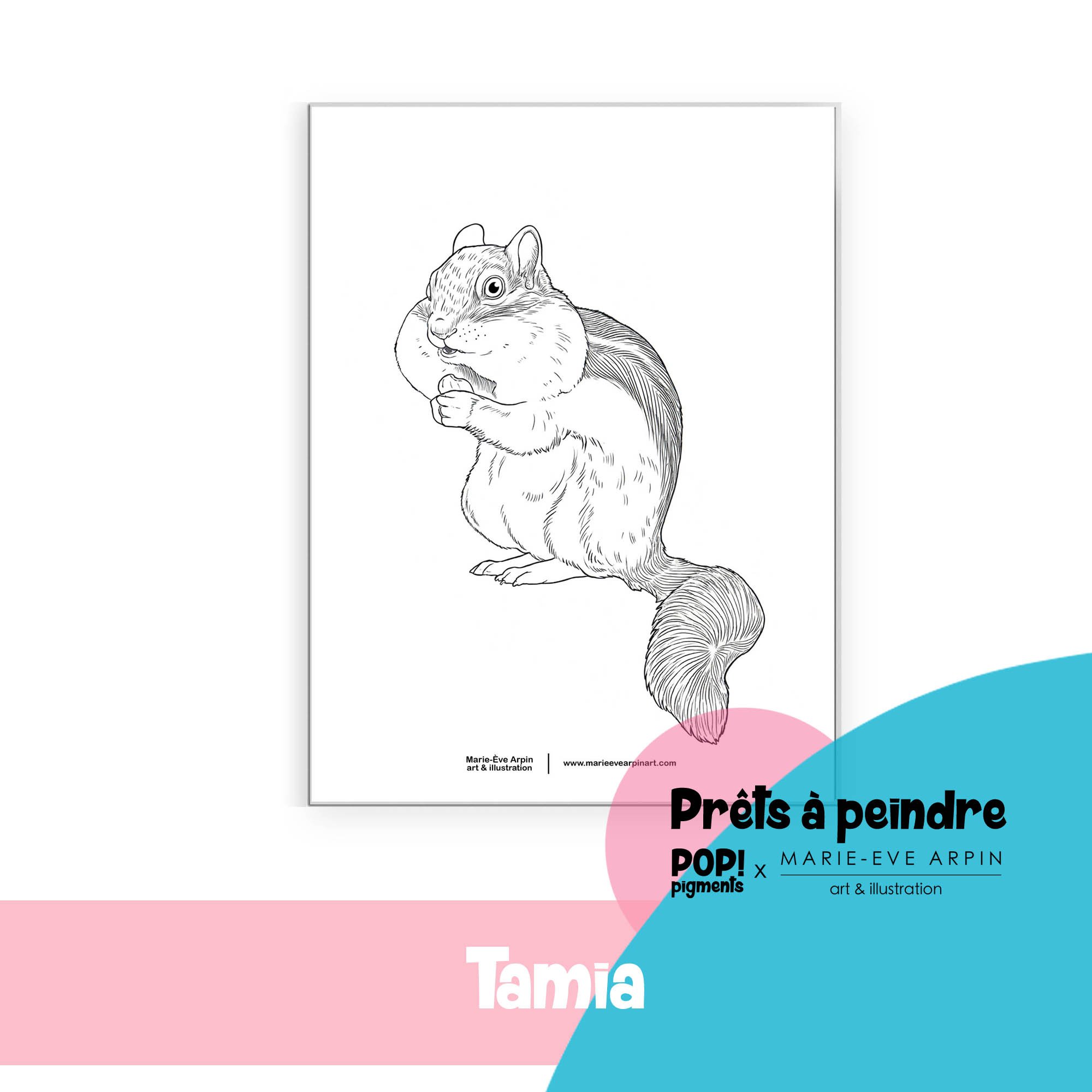 Croquis_tamia_a_peindre_aquarelle_MEA_PopPigments.jpg