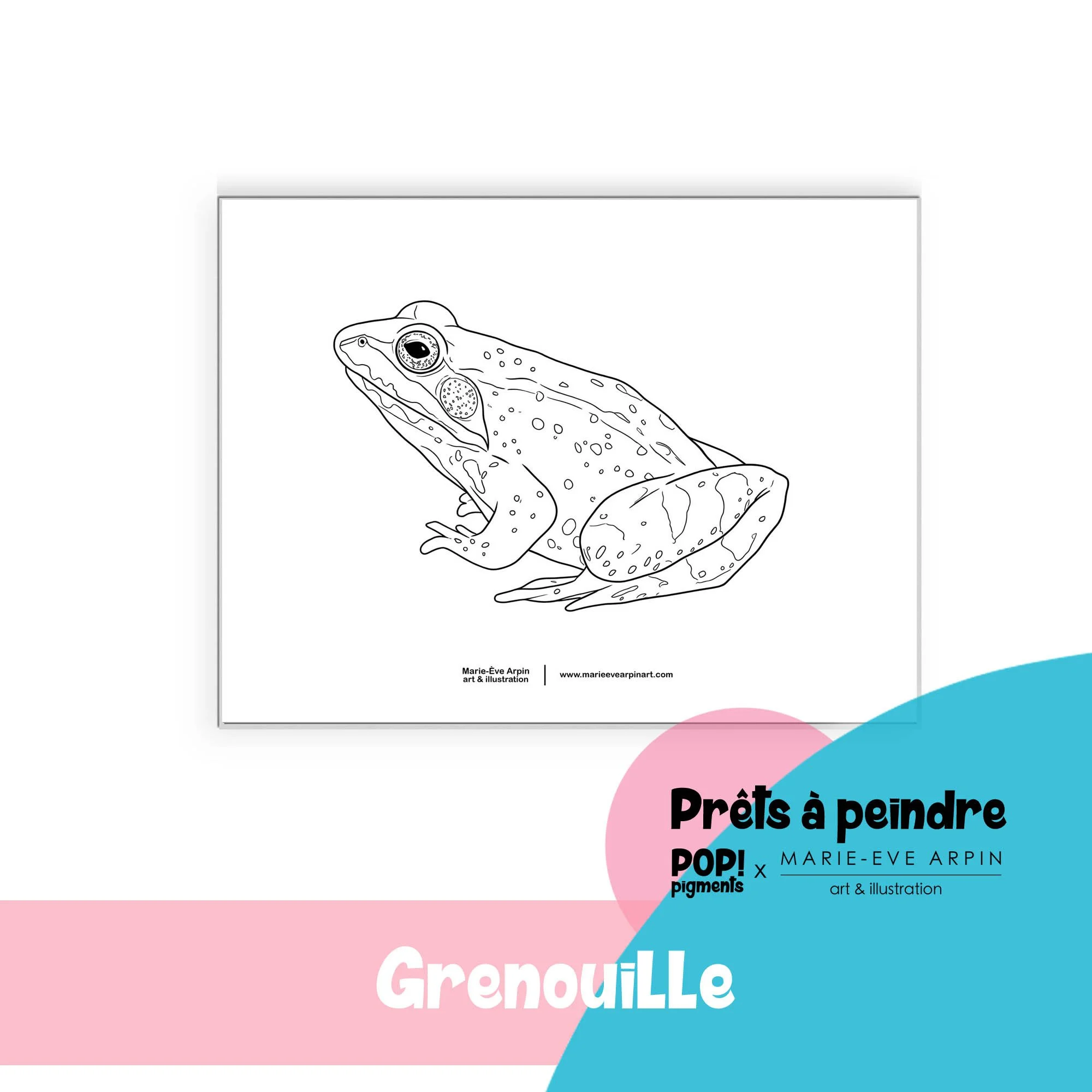 Peinture_grenouille_a_peindre_aquarelle_MEA_PopPigments.jpg
