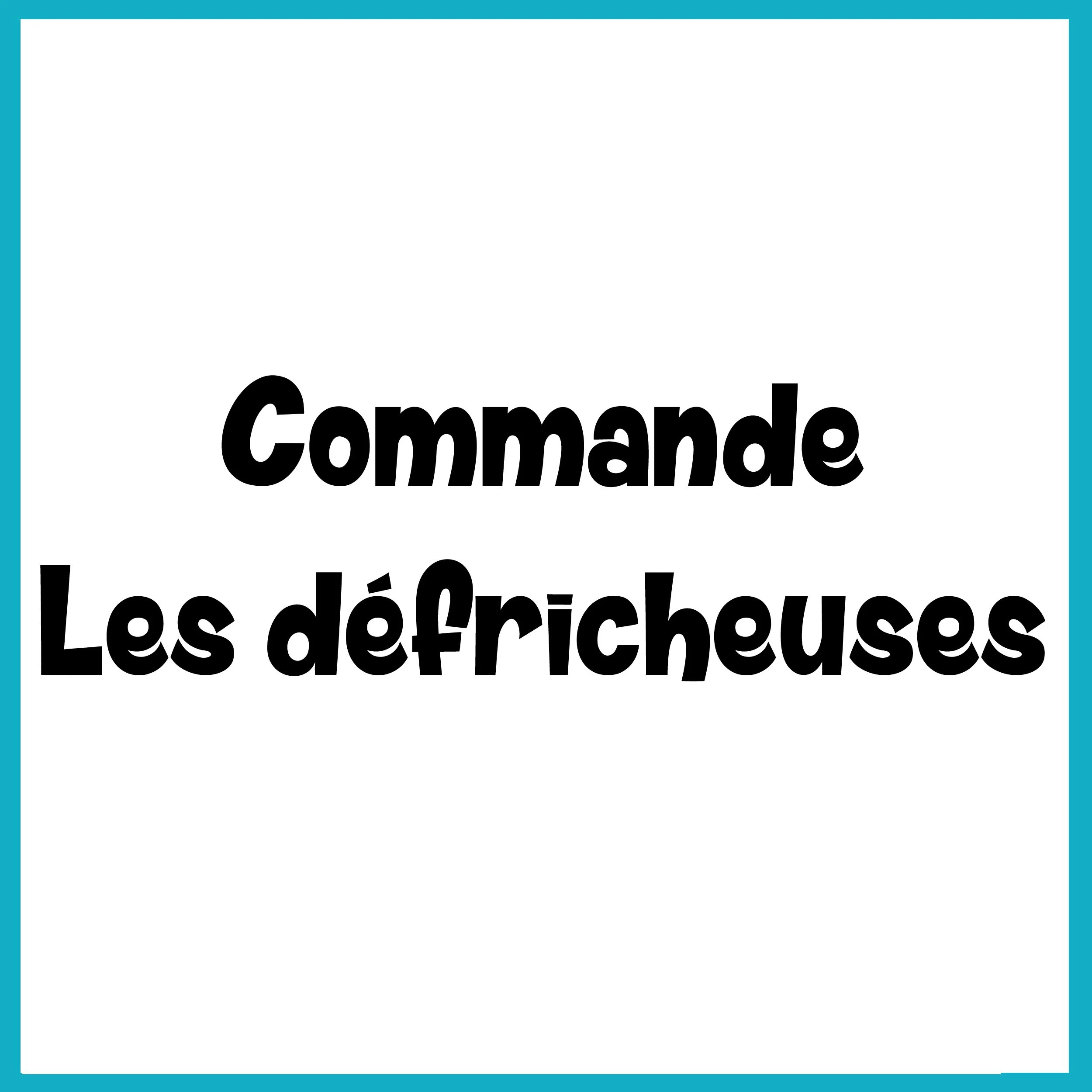 Commande Defricheuse.jpg