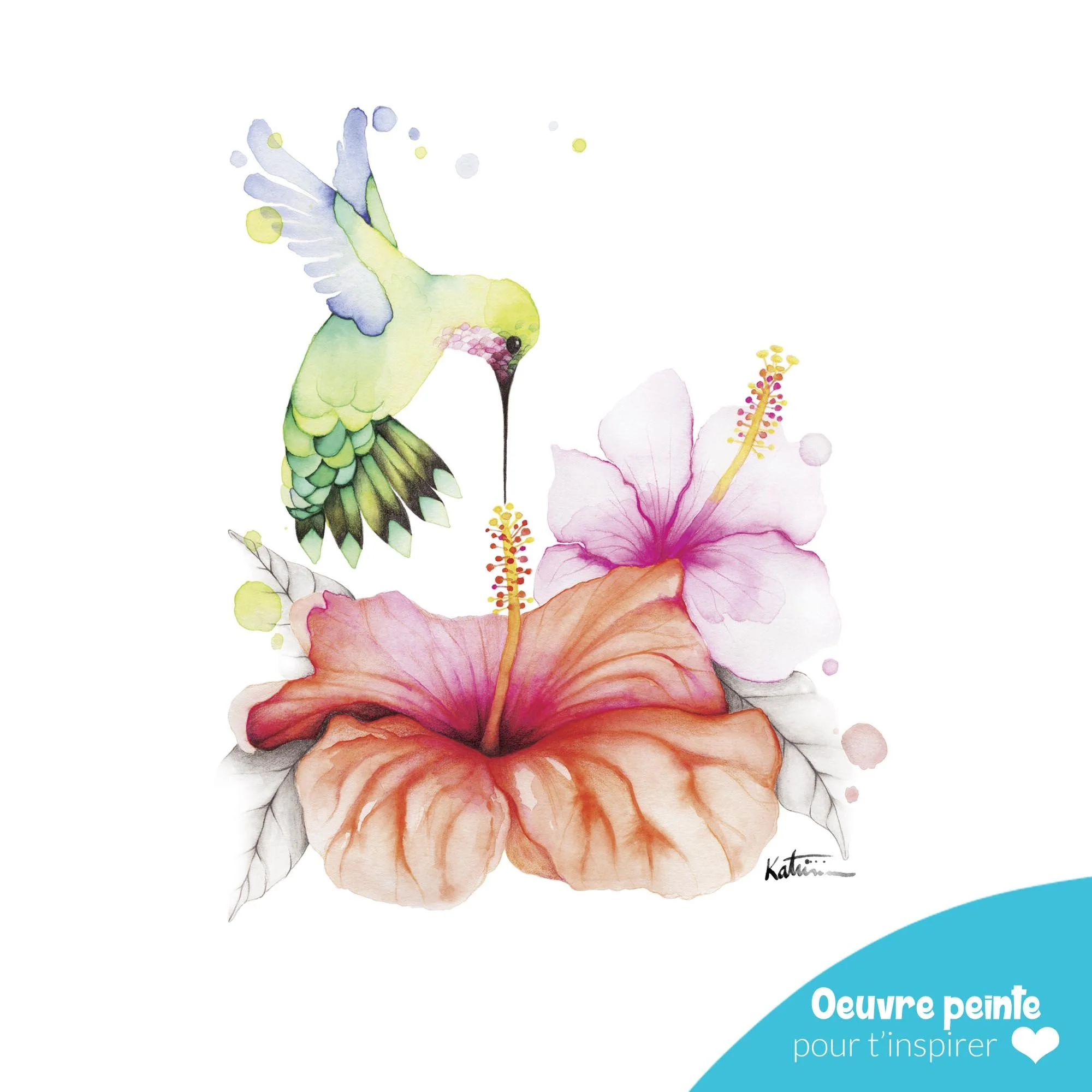 Colibri.jpg