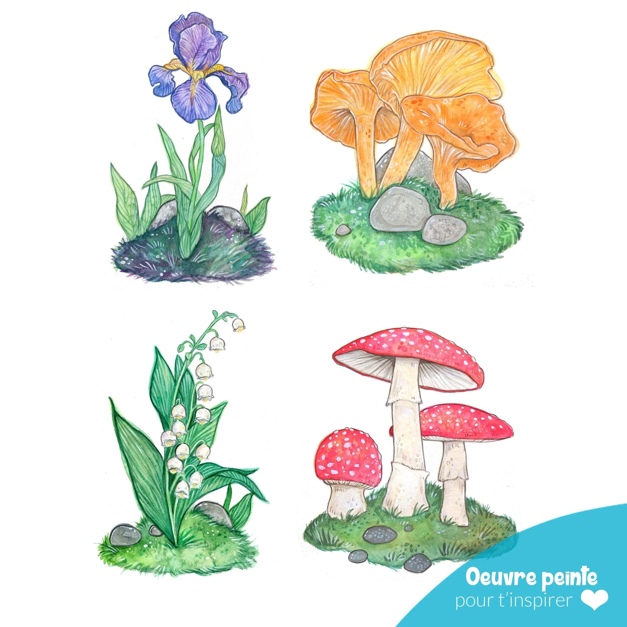 Aquarelle_flore et champis_à_peindre.jpg