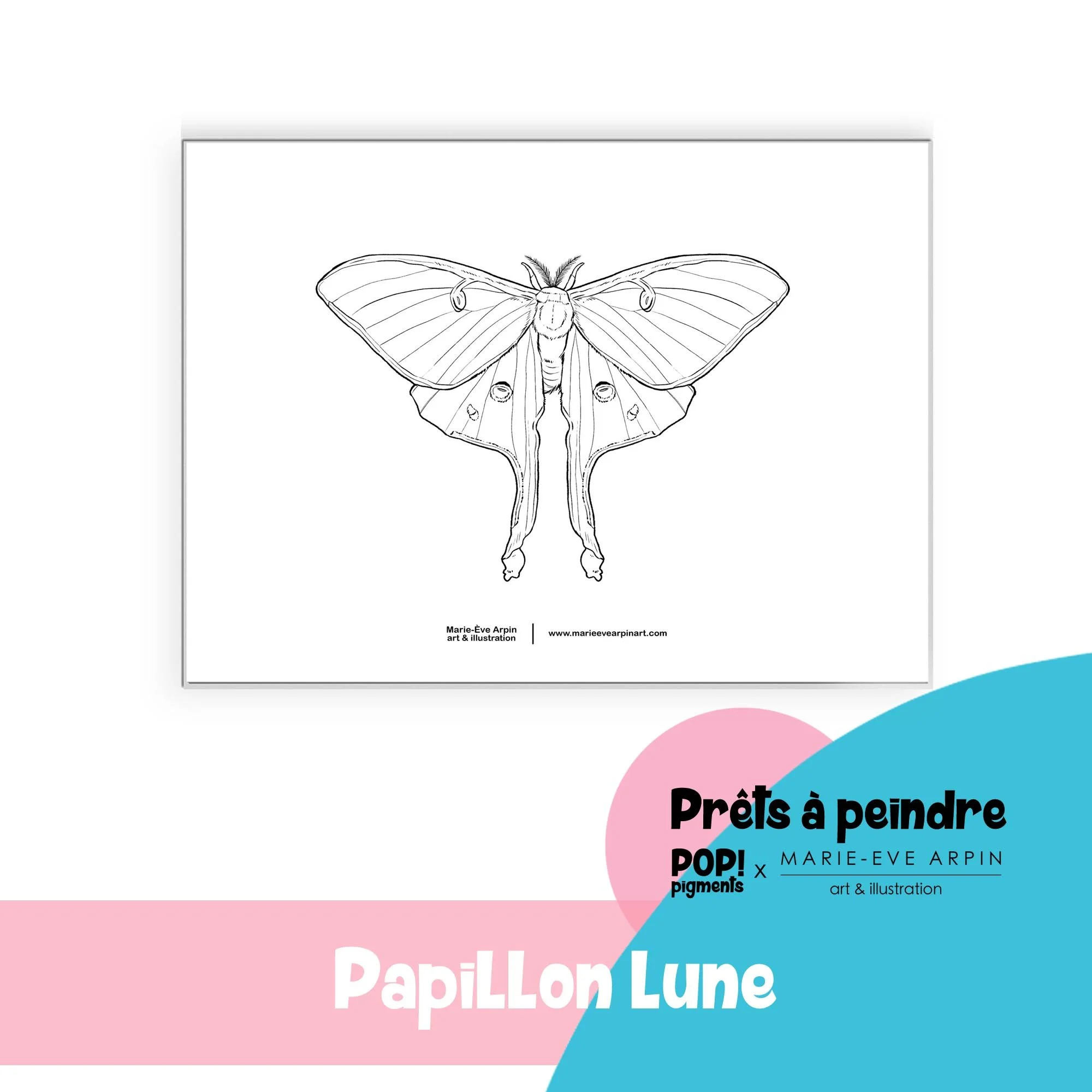 papillon_lune_Croquis_a_peindre_aquarelle_MEA_PopPigments.jpg