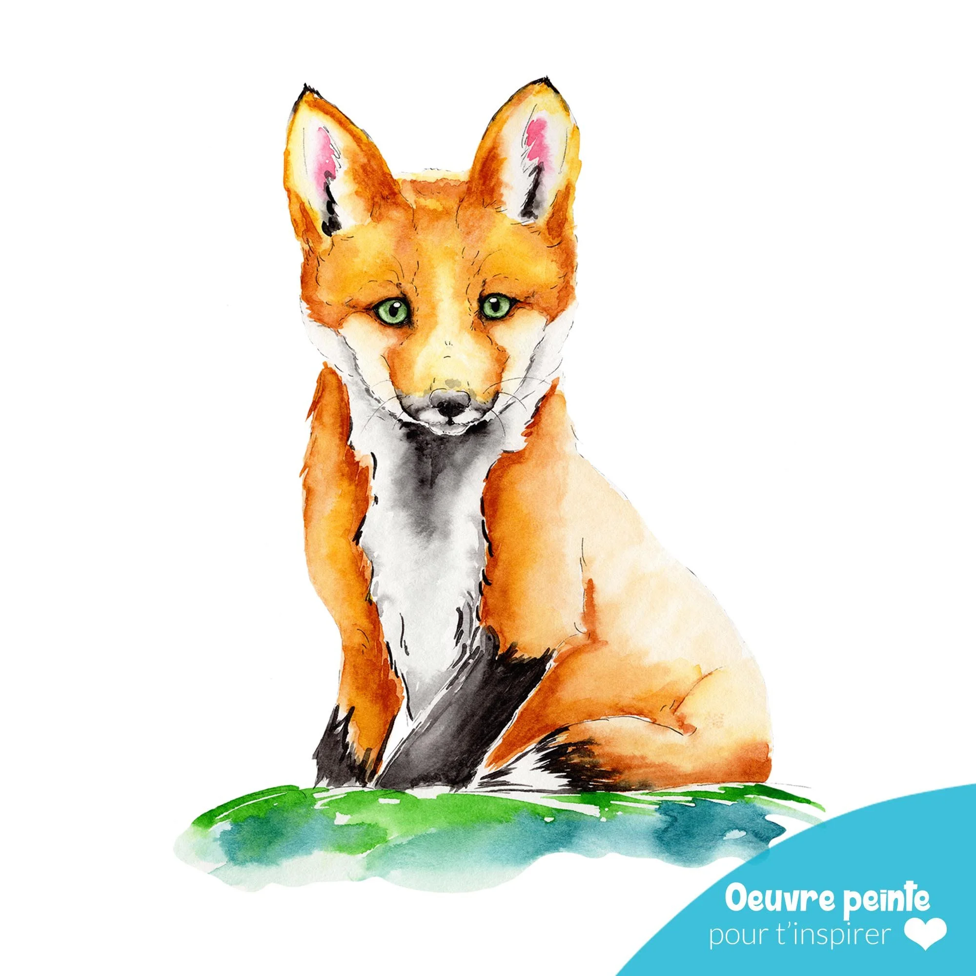 Bebe renard.jpg