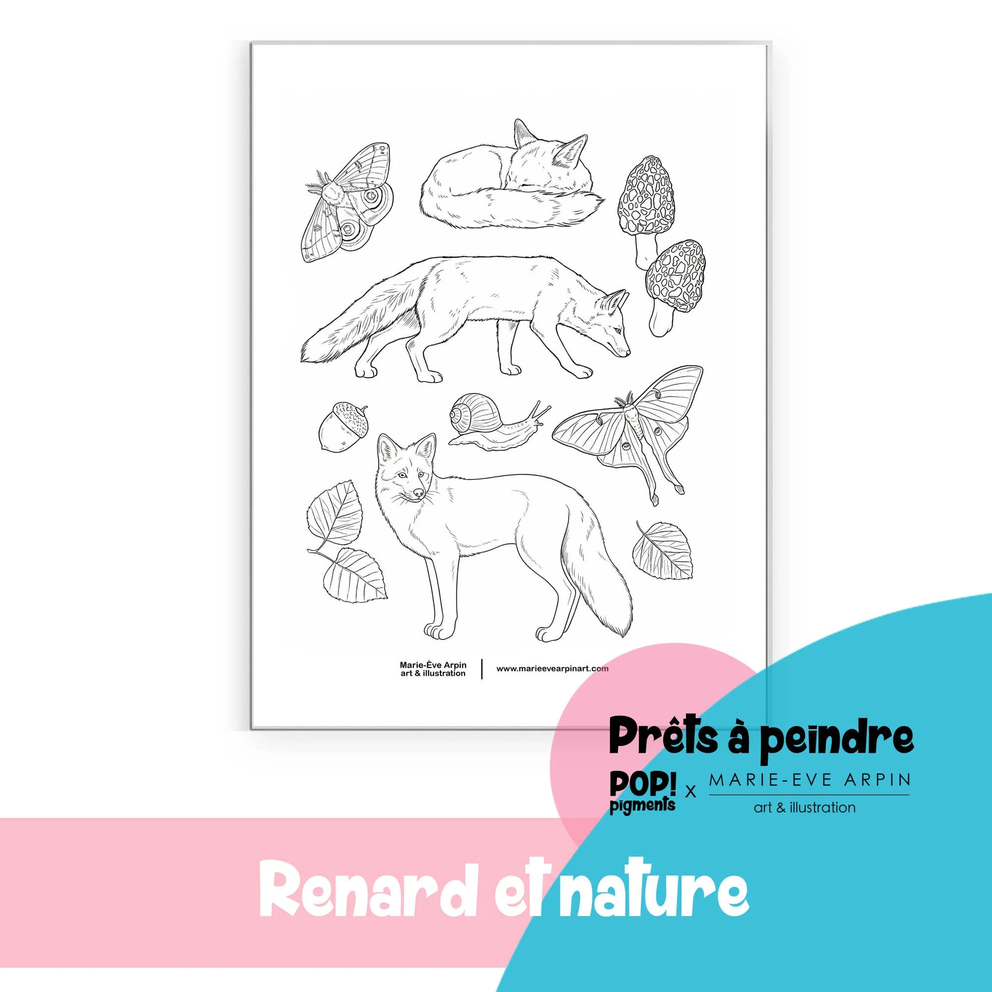 renard et nature_Croquis_a_peindre_aquarelle_MEA_PopPigments.jpg
