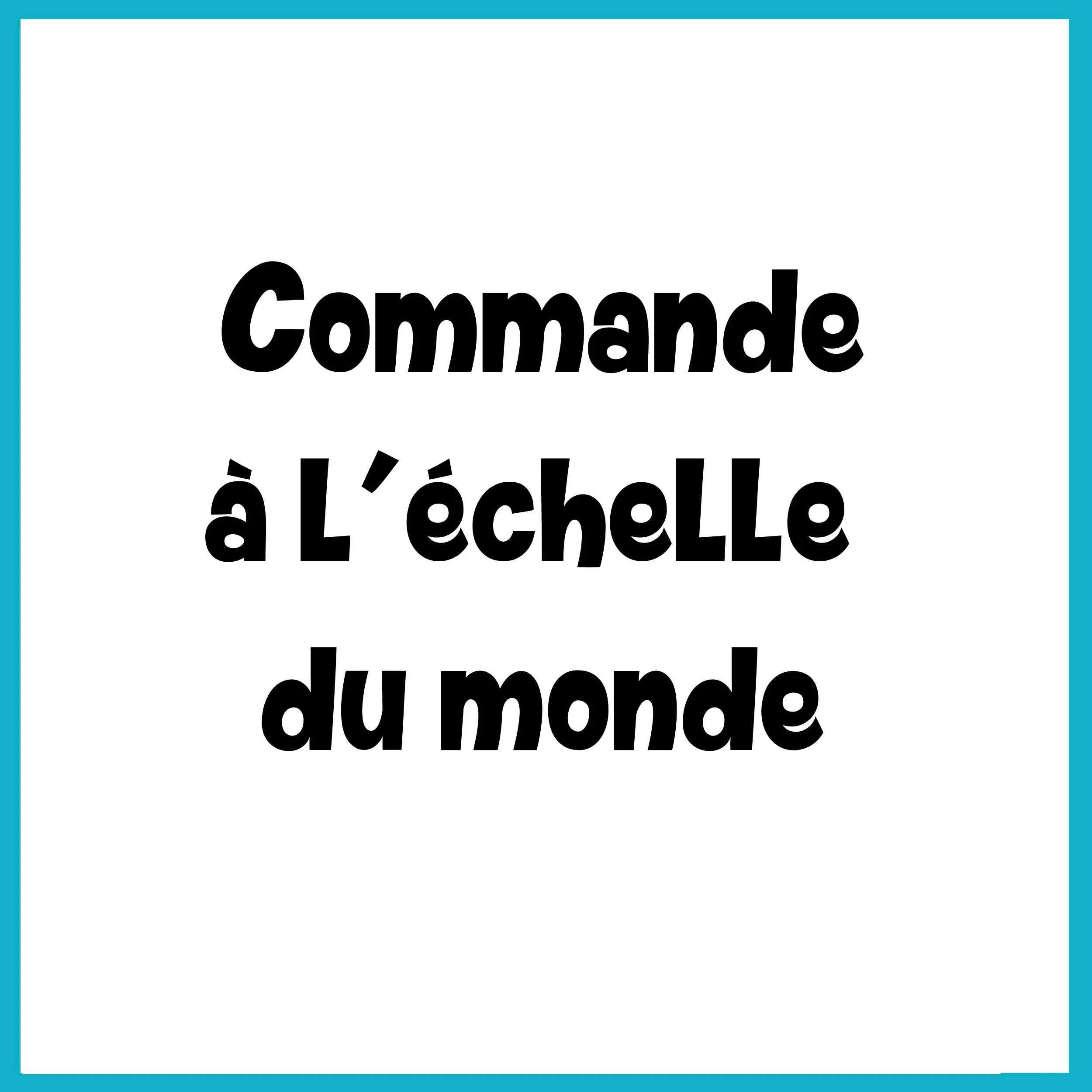 Commande Echelle du monde.jpg