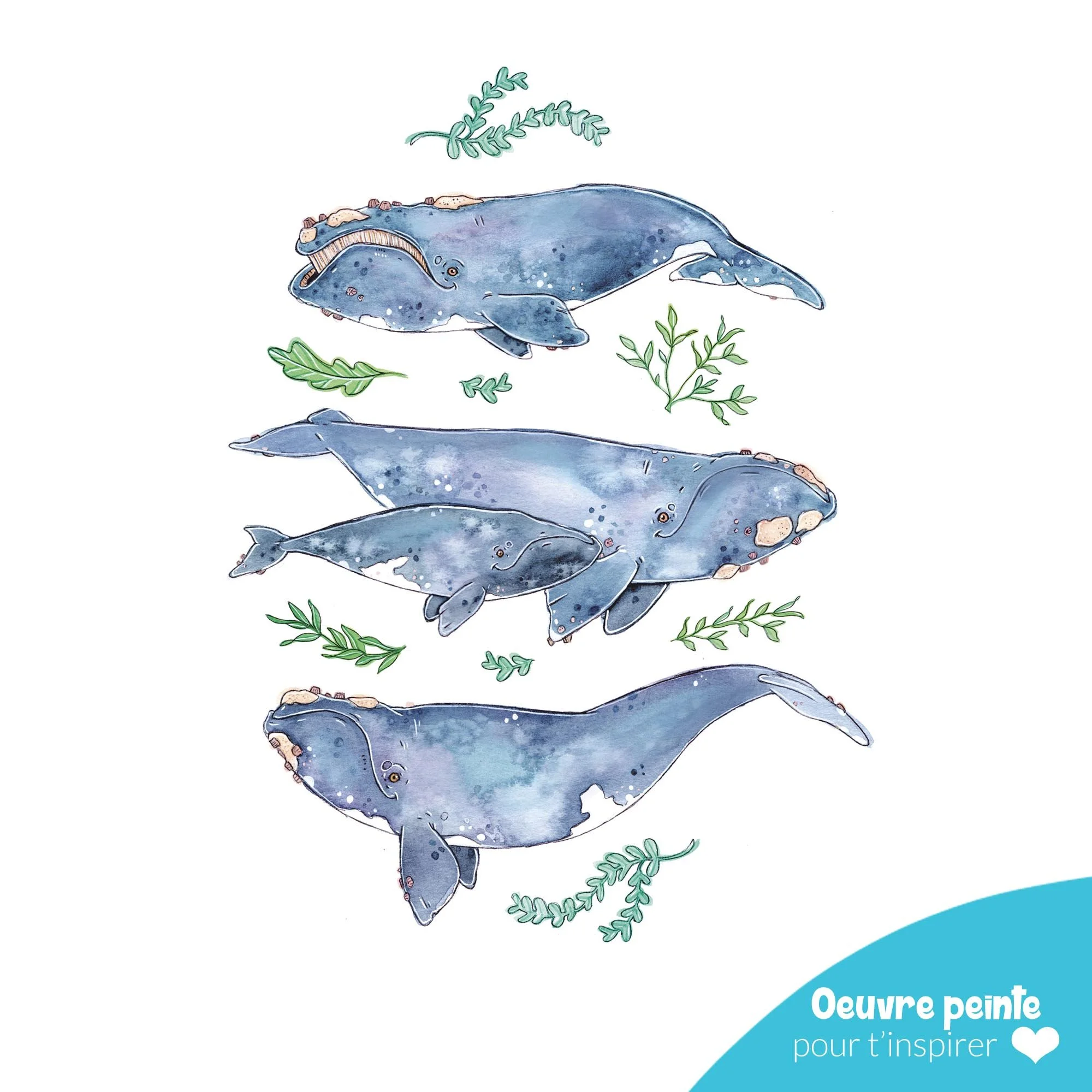 Aquarelle_baleines_à_peindre.jpg